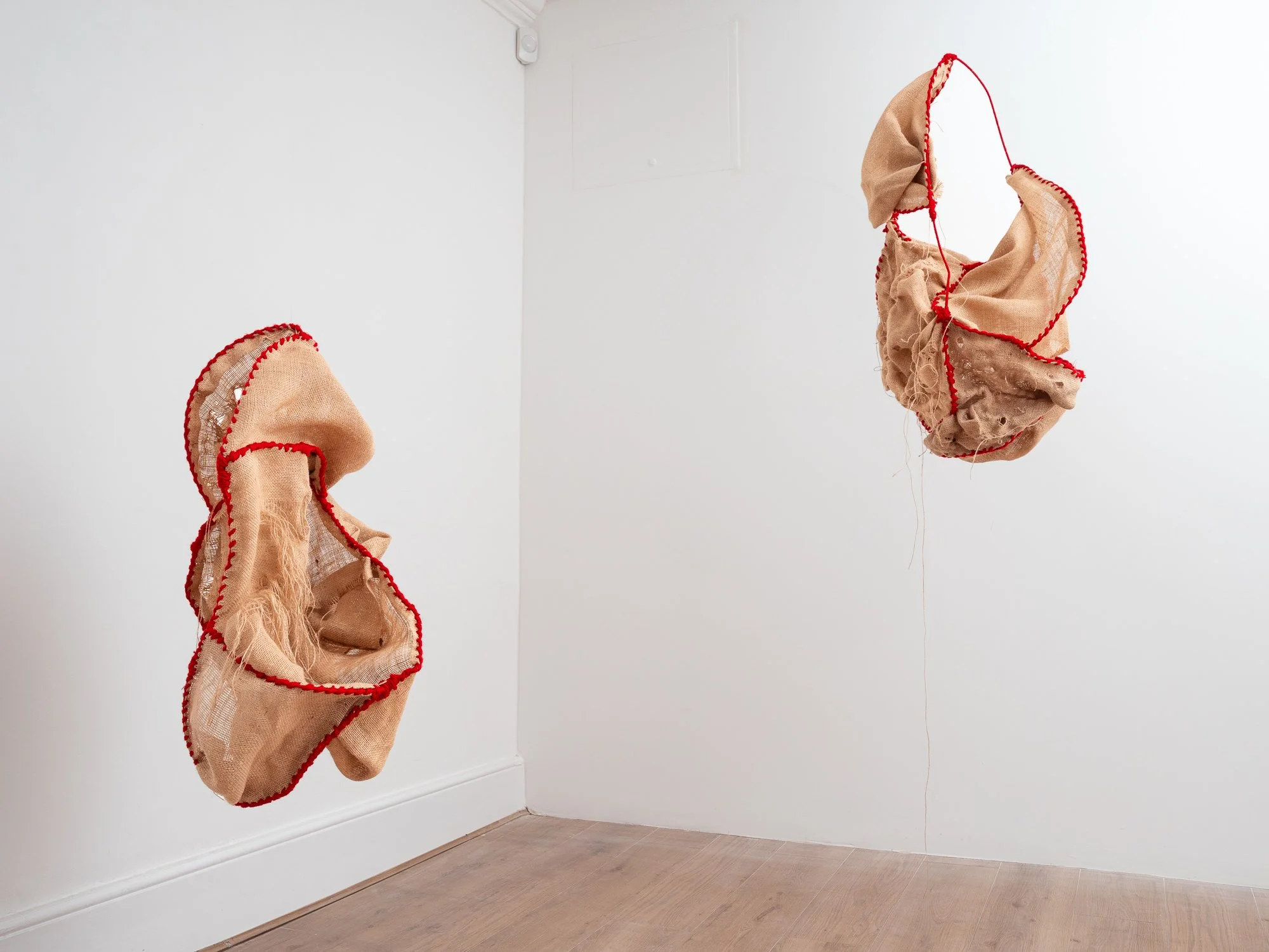 TAFETA 5 MAR 2025-5.jpg