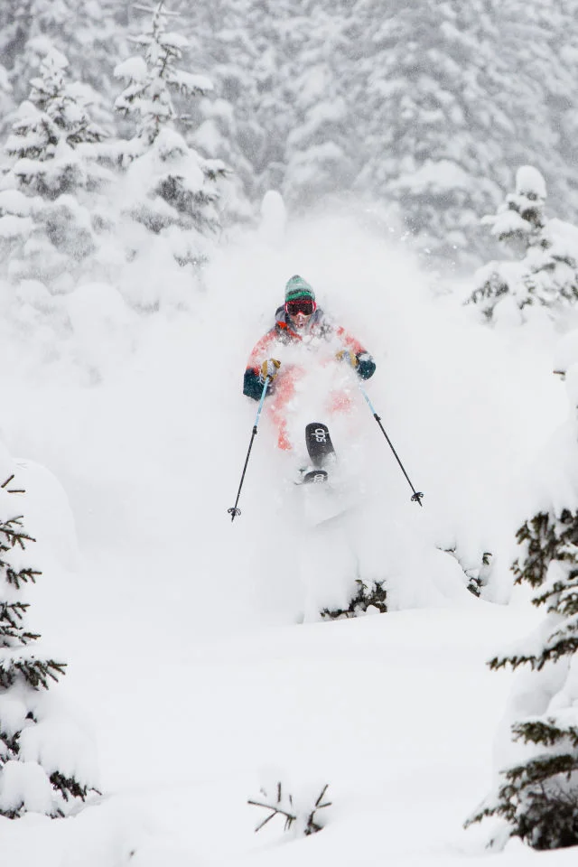 DPS Skis: What’s Their Story?
