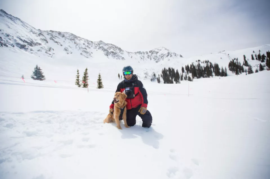 A Day in the Life of an Avalanche Rescue Dog