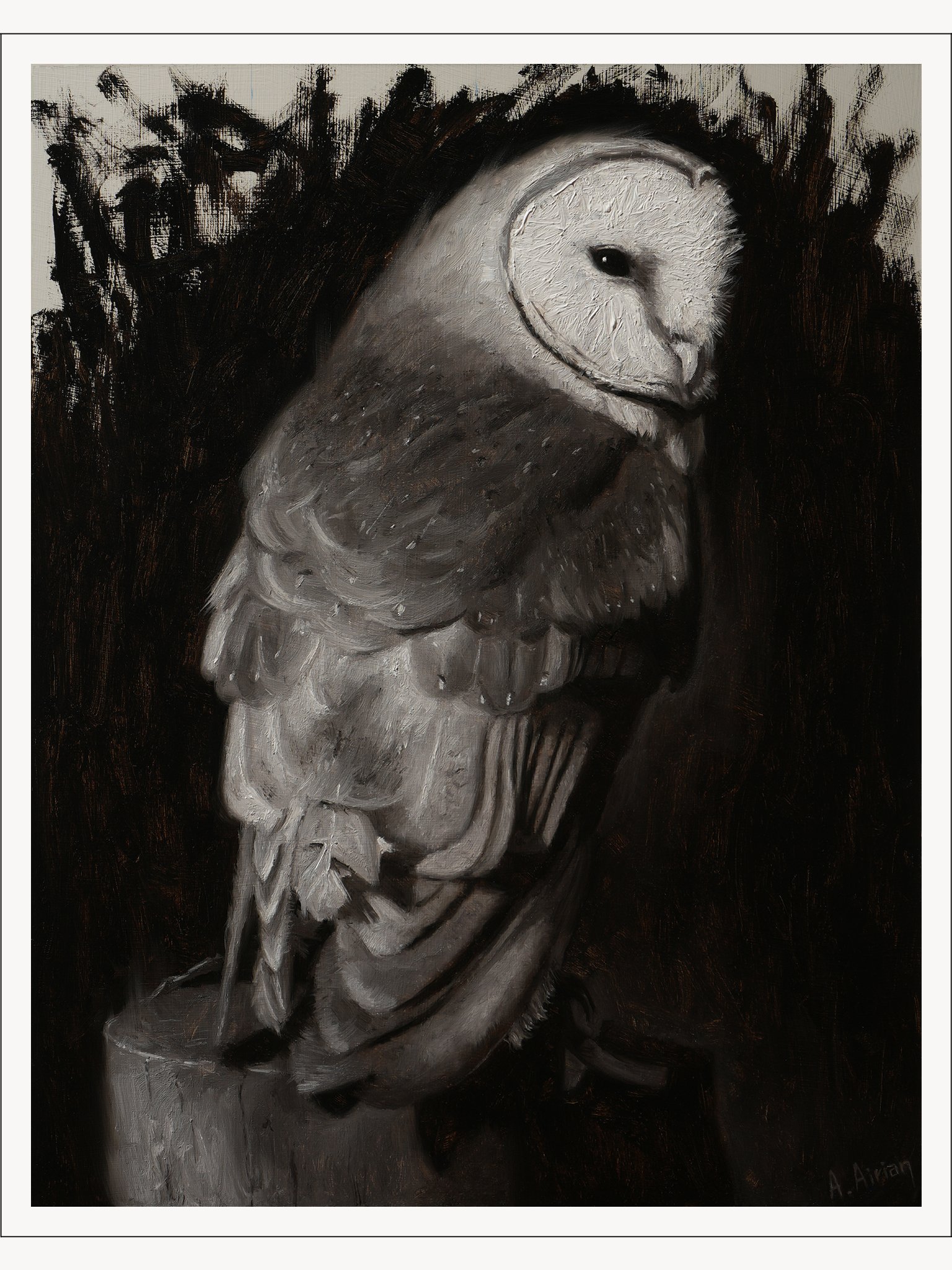 Barn owl - print