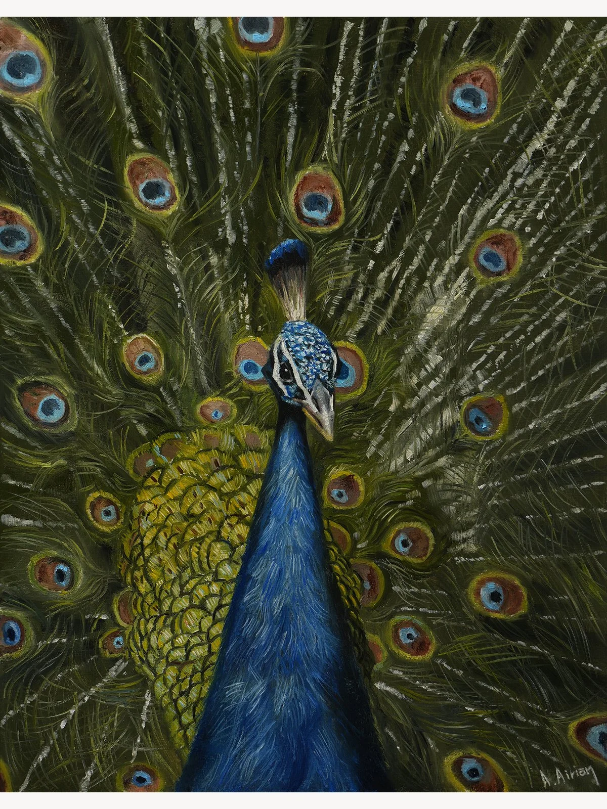 Indian peafowl