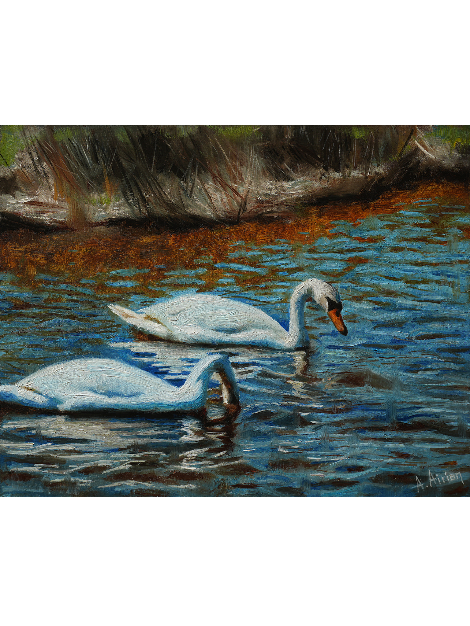 Two happy swans
