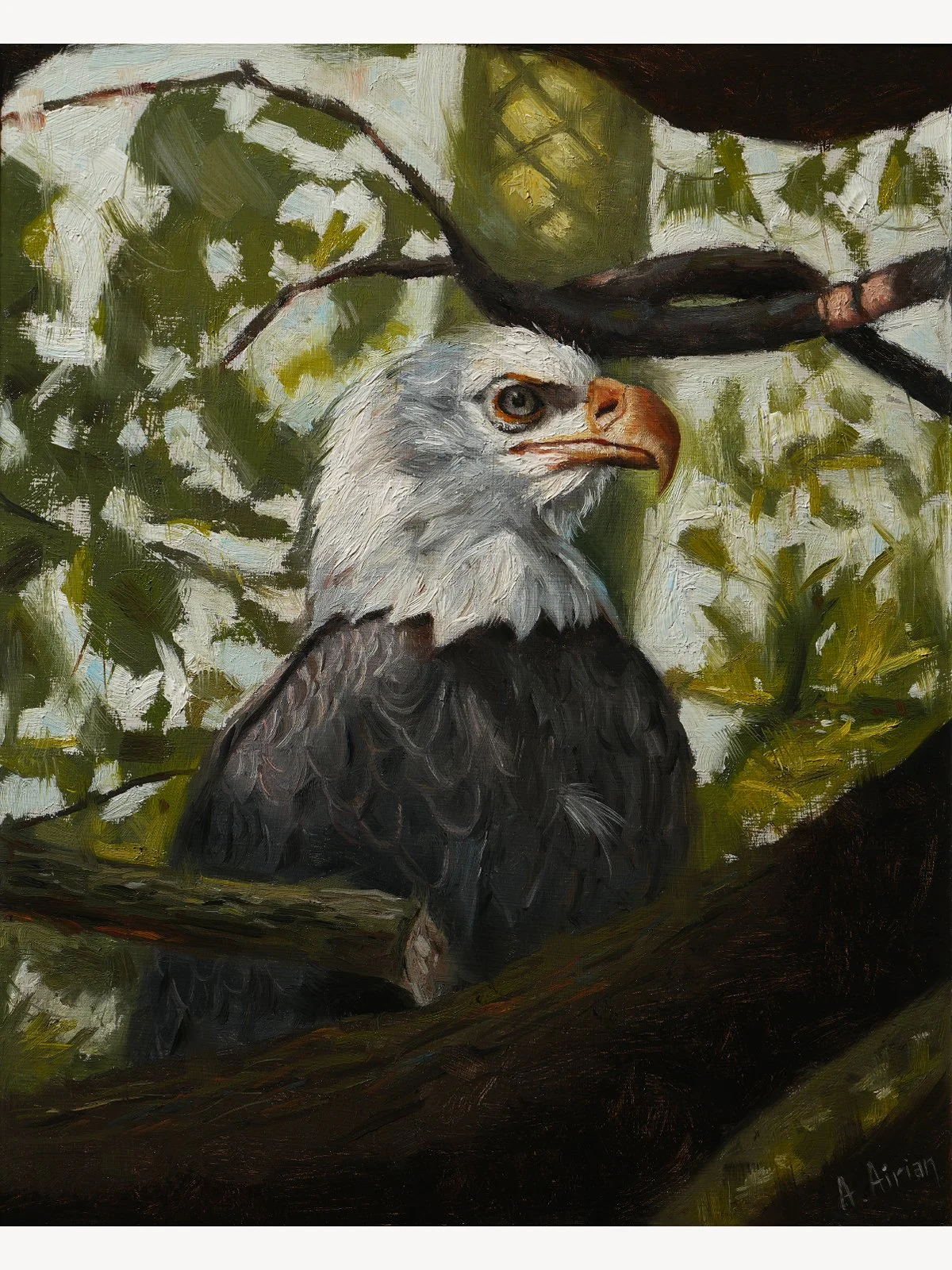 The Eagle