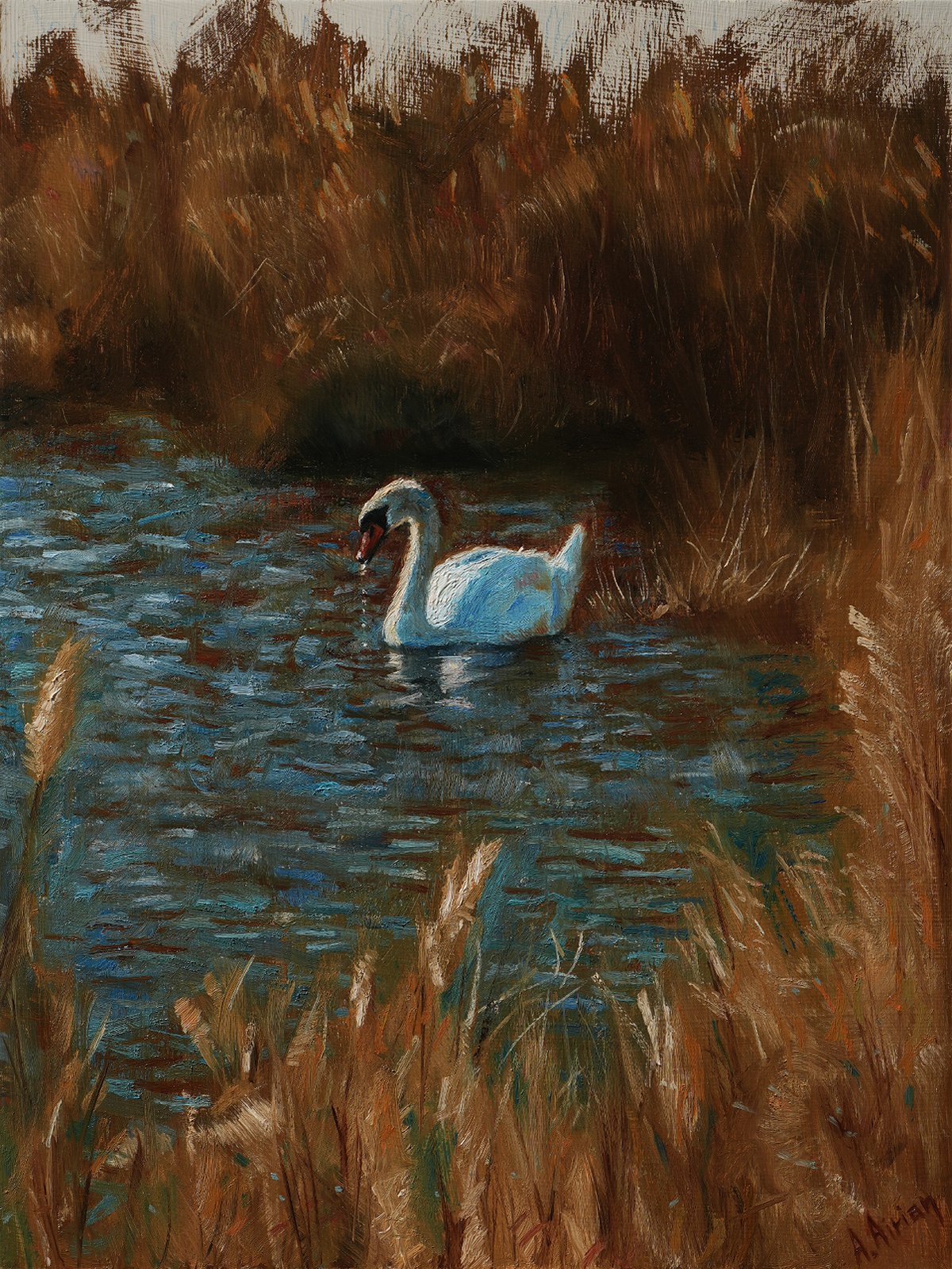 A Swan