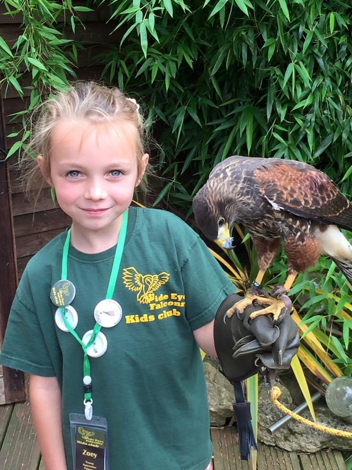Participant Harris Hawk Race
