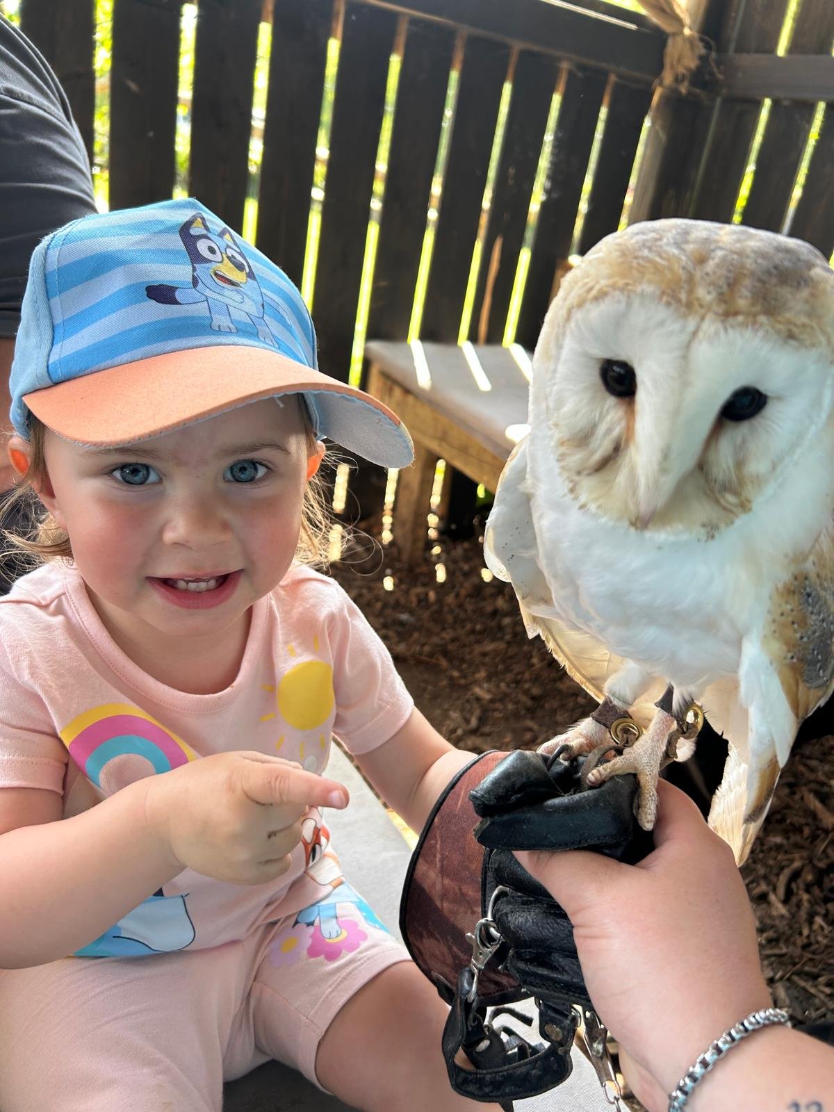 Related Video Item Thumbnail