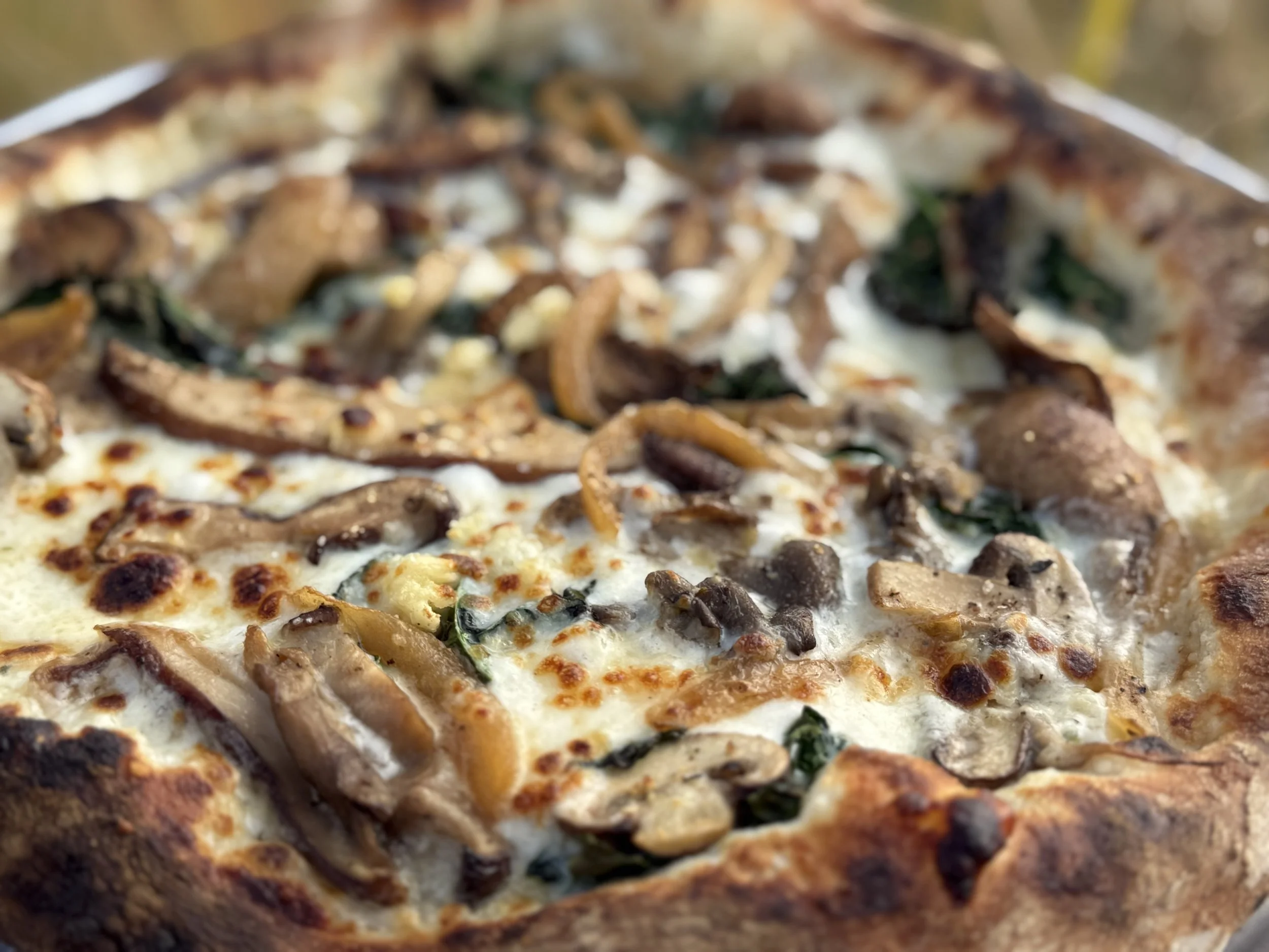 Close-up of a mushroom and vegetable pizza with a golden-brown crust, melted cheese, and various toppings including mushrooms, spinach, and onions.