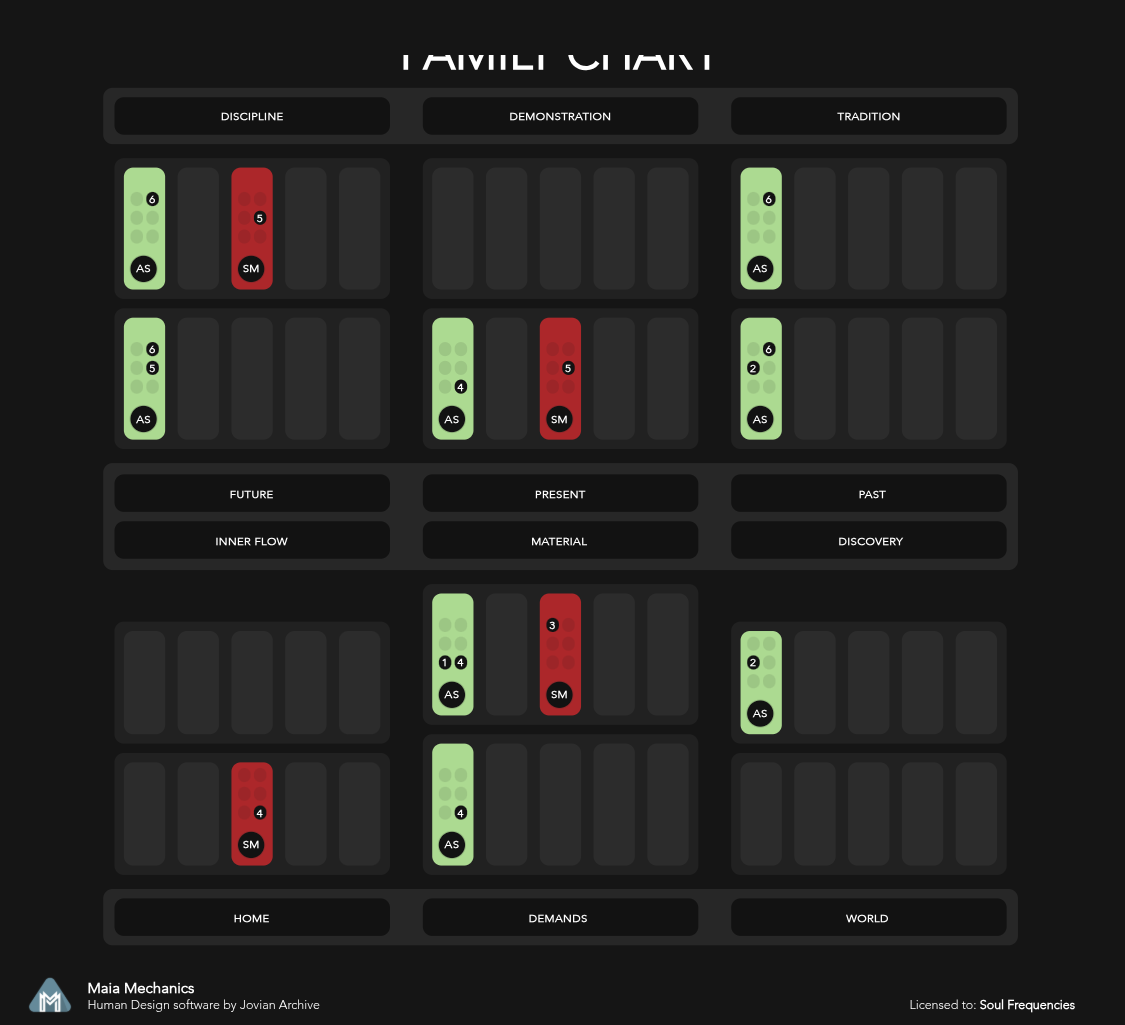A diagram showing soul frequencies across various categories like discipline, demonstration, tradition, future, present, past, inner flow, material, discovery, home, demands, and world. It contains colored circles labeled with numbers and abbreviations 'As' and 'Sm' indicating different soul states or frequencies.