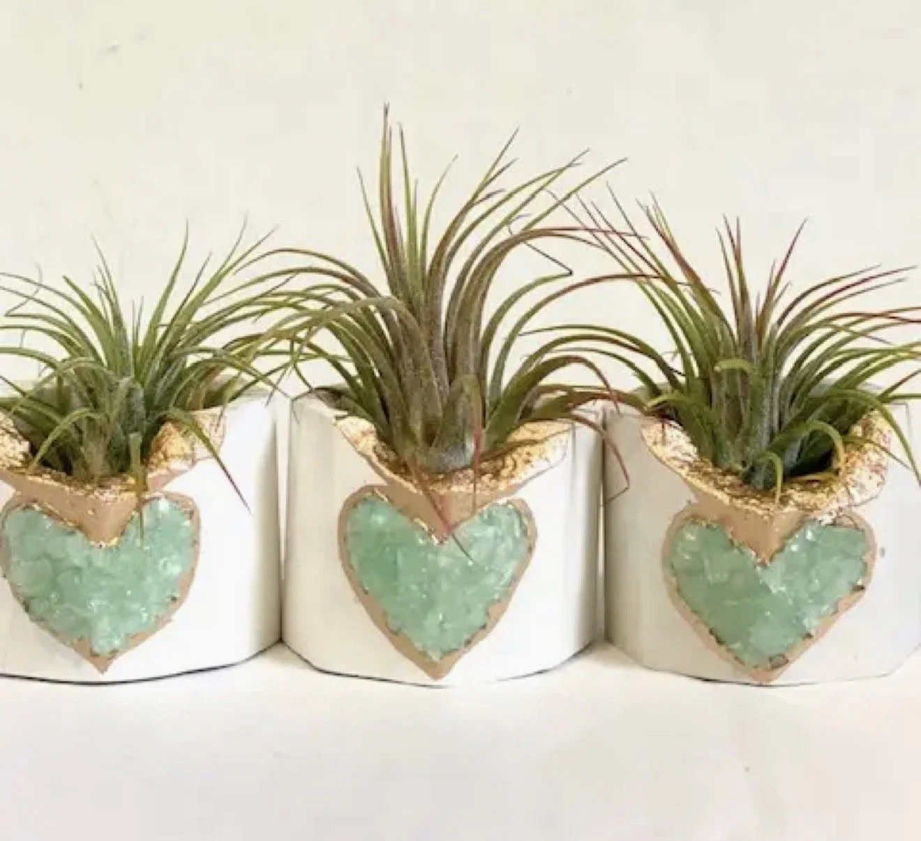 Three small potted plants with long, thin green leaves in heart-shaped pots with a turquoise center and gold outline.