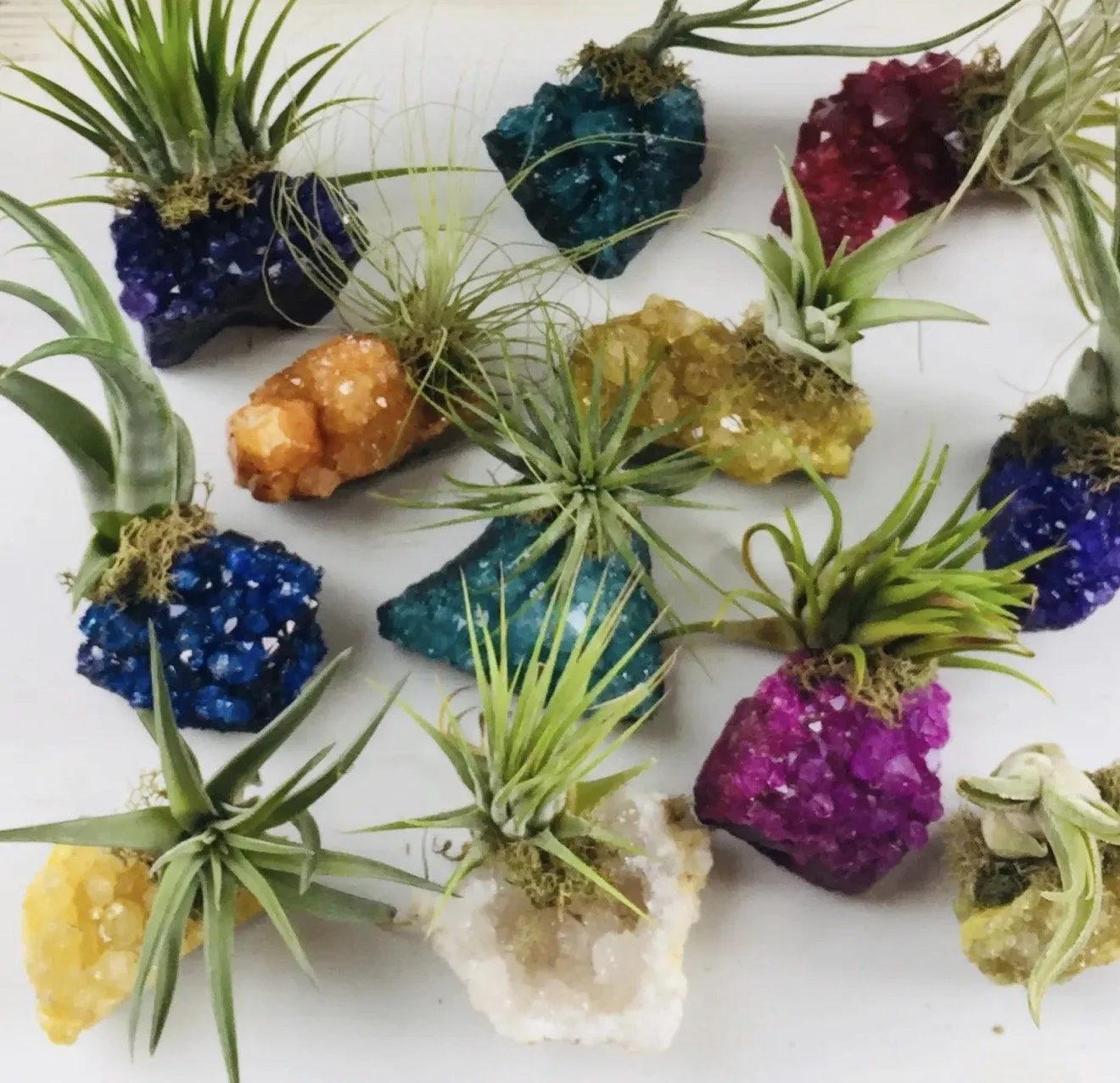 Colorful crystals and small plants arranged on a white surface