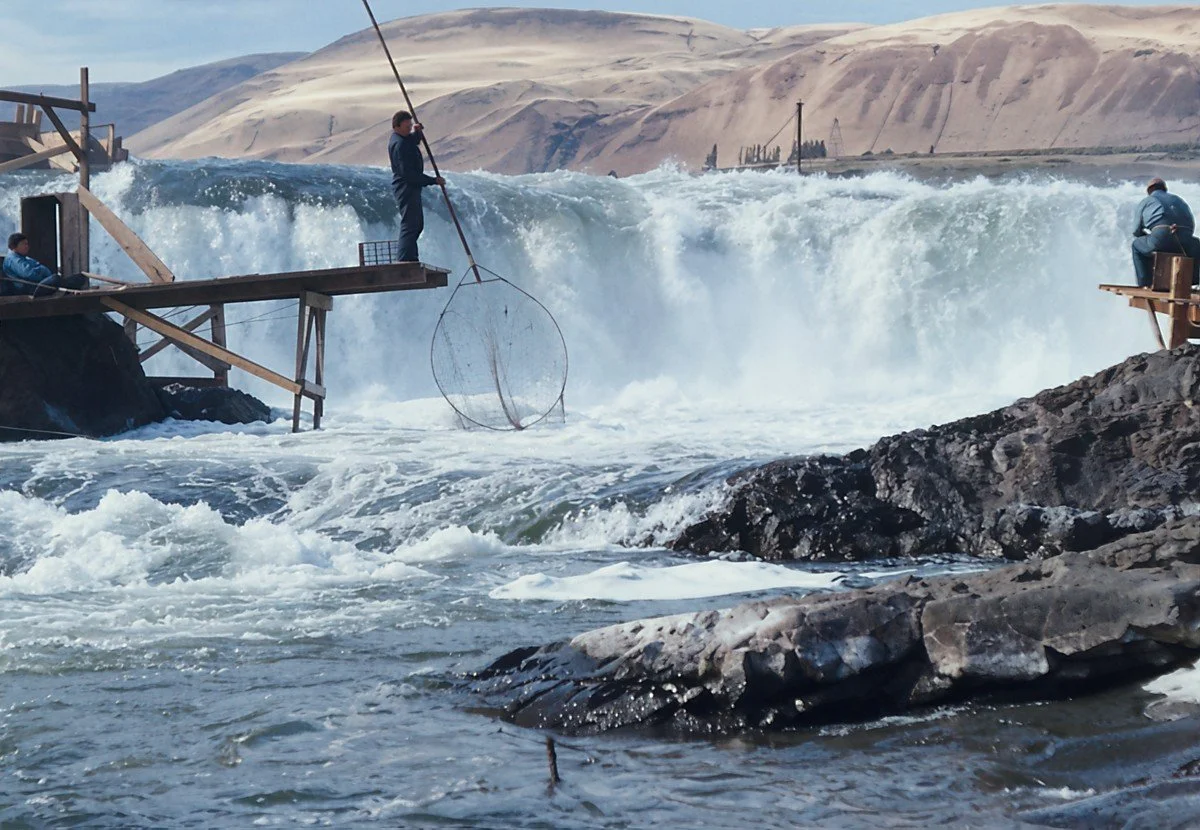 Dip Net Fisherman II, Celilo Falls