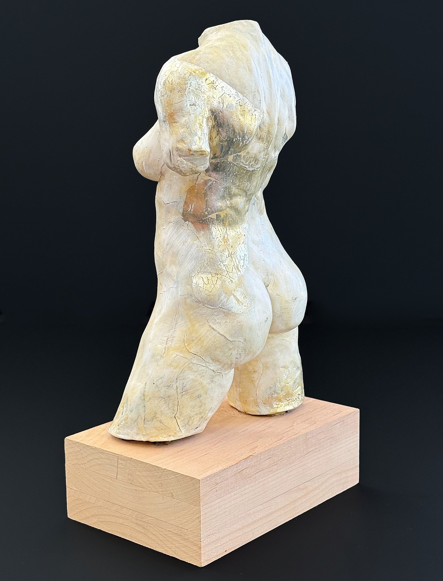 Figure 5 side John Van Dreal