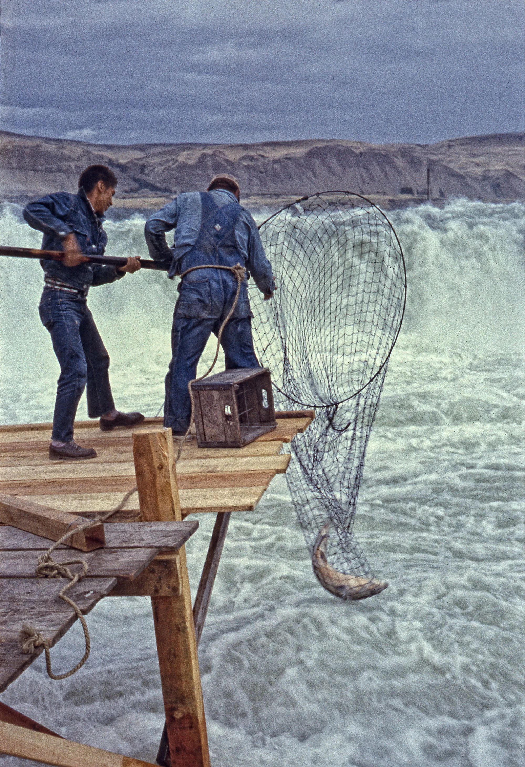 Net salmon fishing, Celilo Falls, 1956 by Richard Stefani