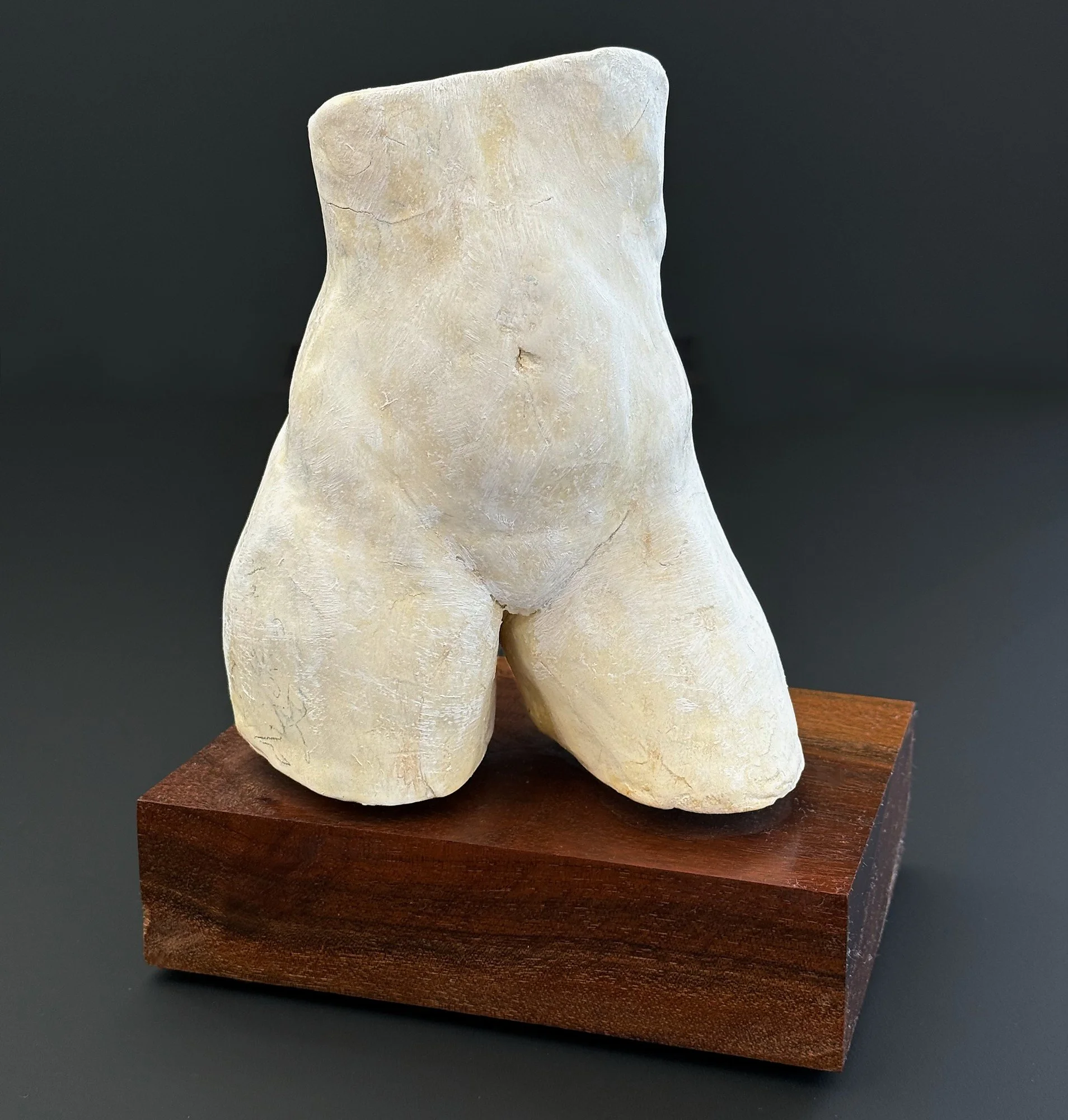 Figure 1 front John Van Dreal