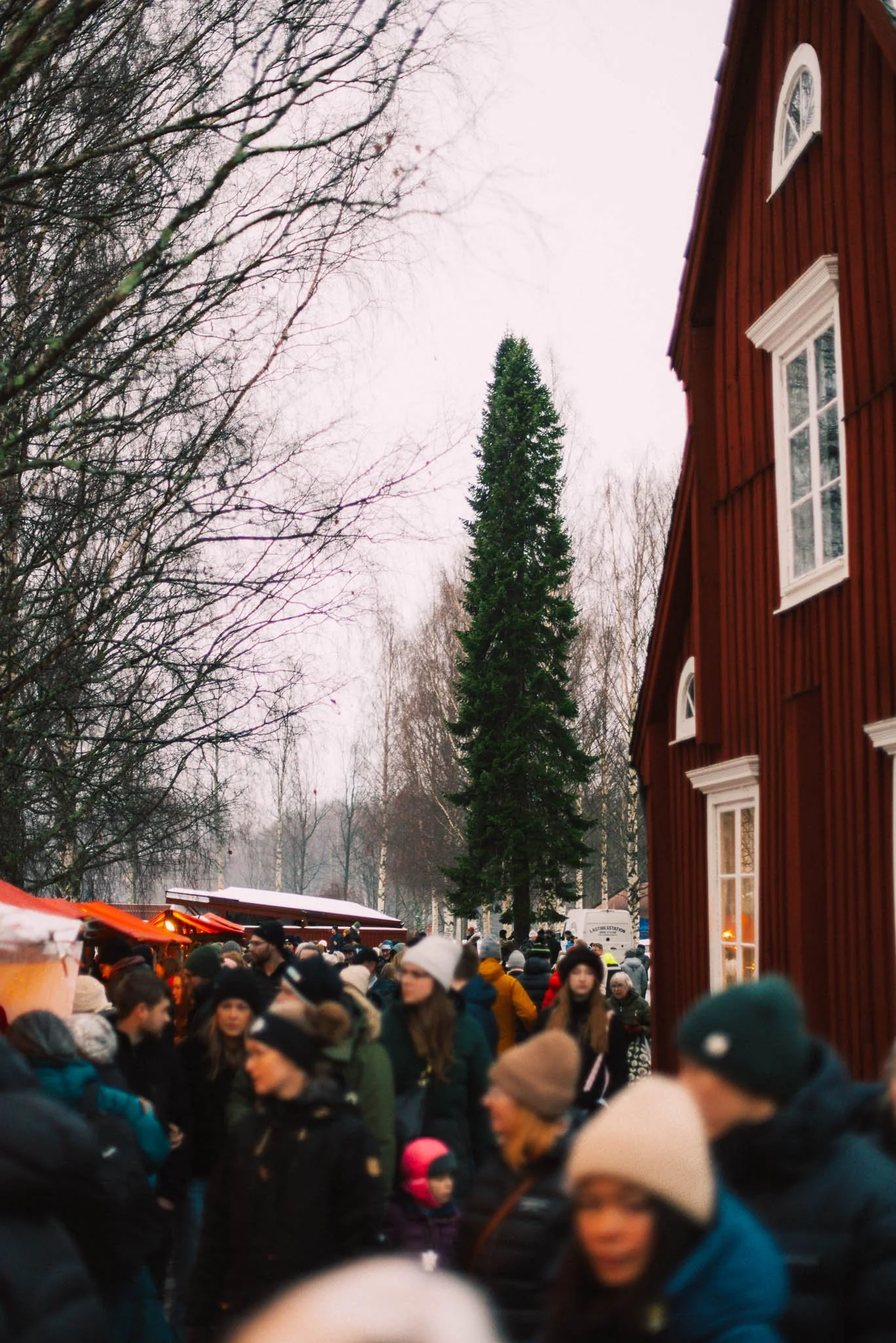 Visit Skellefteå lågupplöst-45.jpg