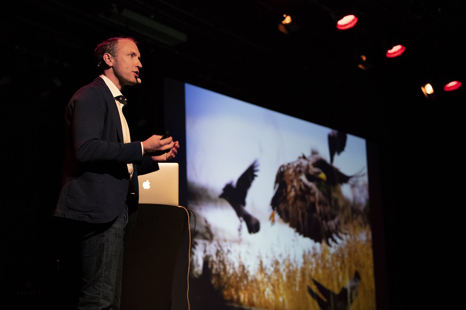 Man giving a presentation on stage with a large screen behind him displaying an image of a bird of prey attacking a flock of birds in a field.