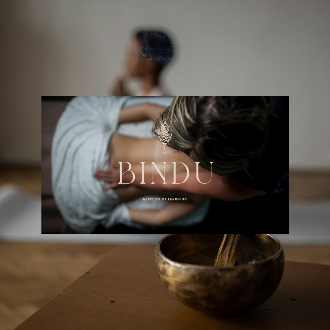 Bindu Institute of Learning
