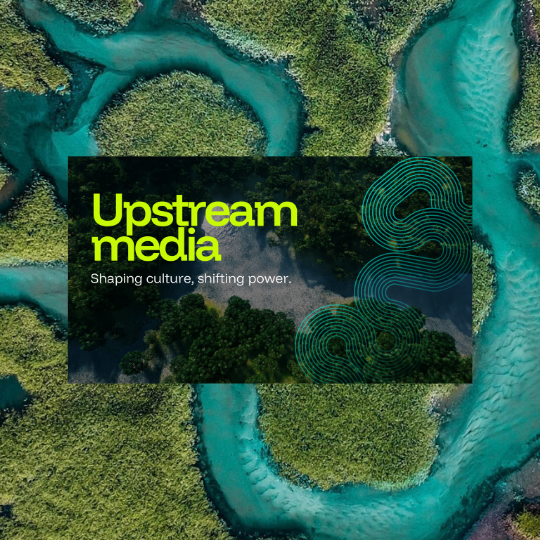 Aerial view of winding river surrounded by lush green trees and vegetation.