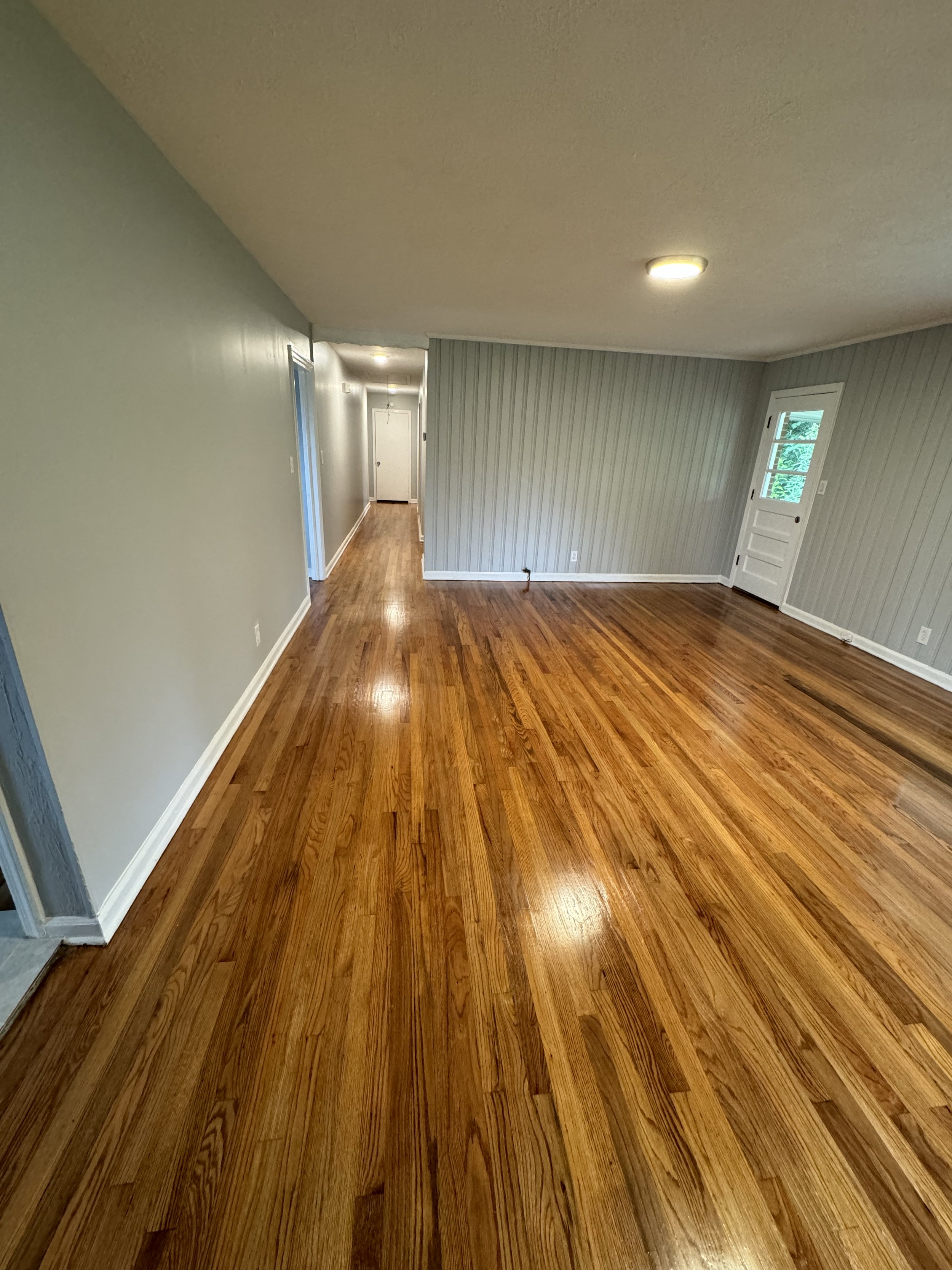 Empty living room with hardwood floors, gray walls, and white trim. A door with a window is visible on the right side, and there's an interior hallway at the back.