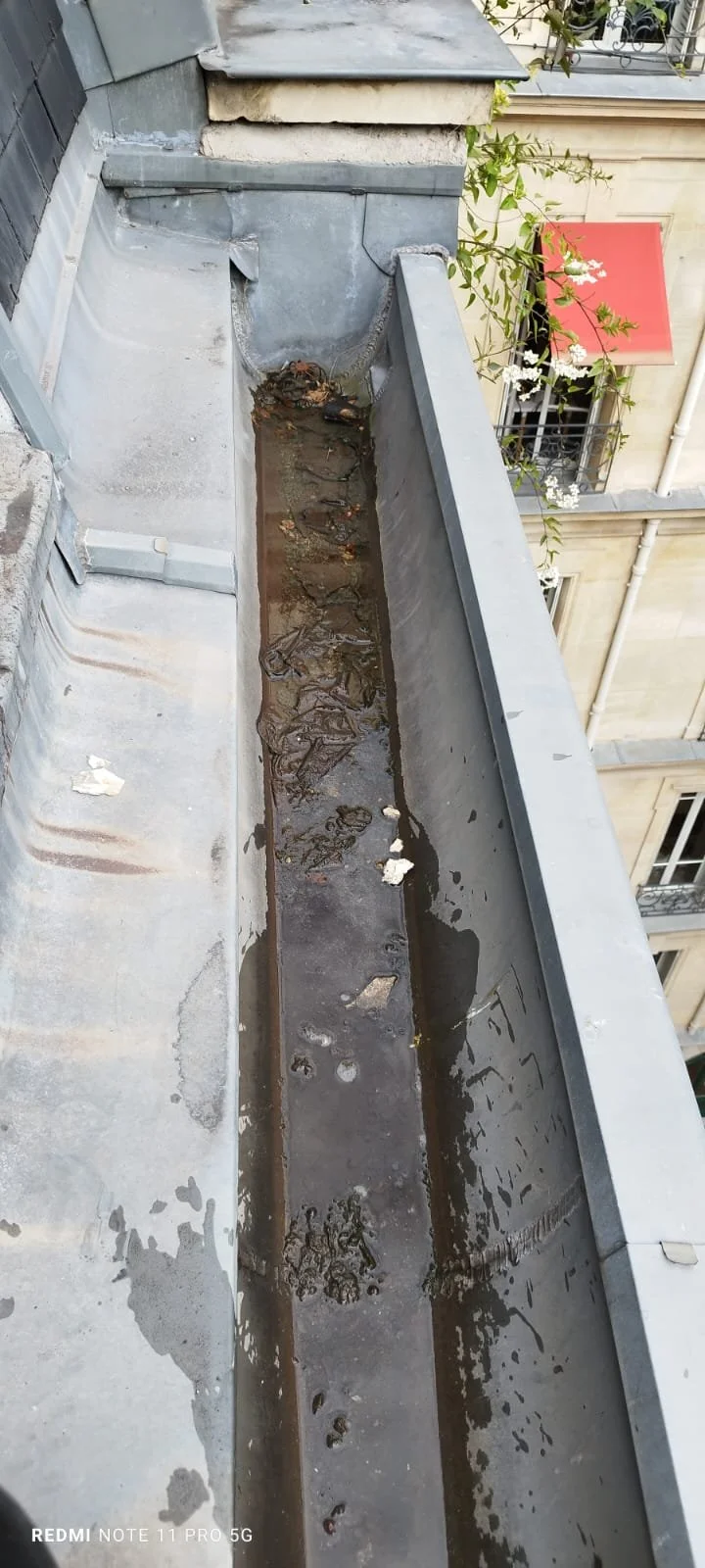 Avant Débouchage/Nettoyage de chêneaux