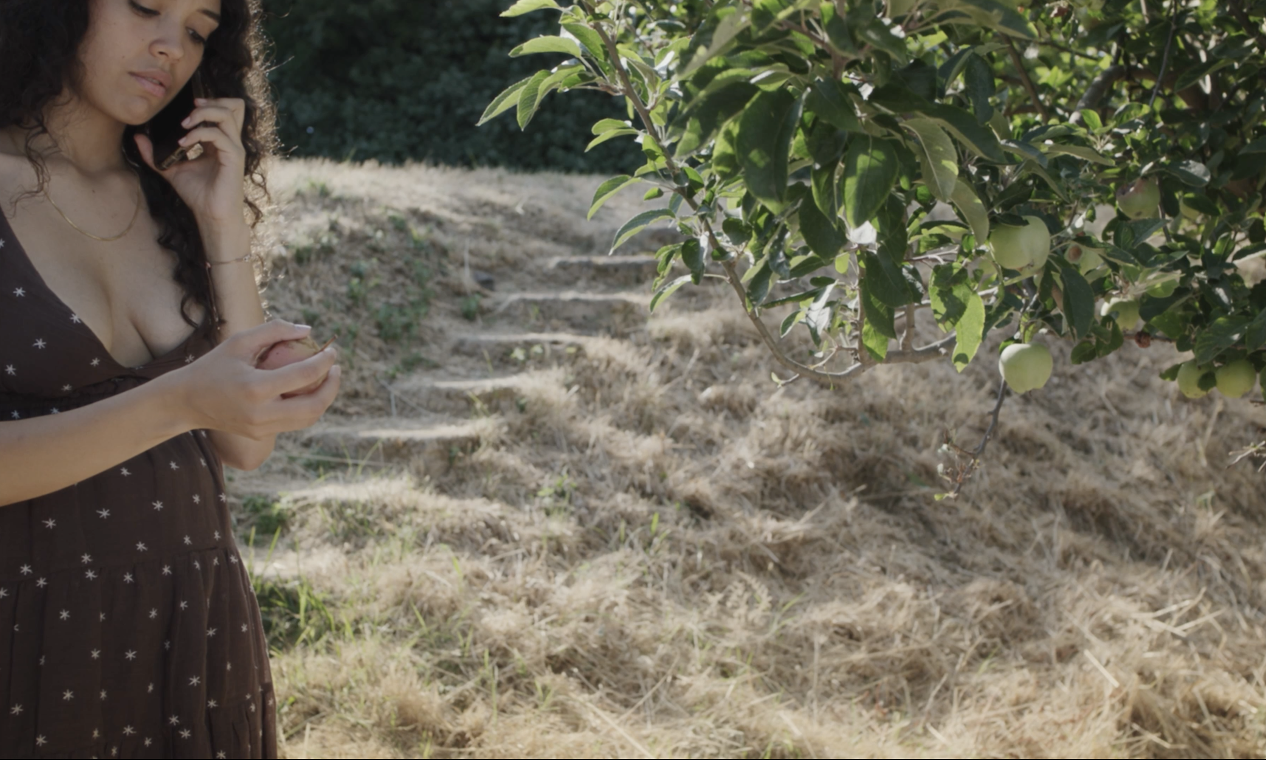 Screenshot 2025-10-11 at 1.27.01 PM.png