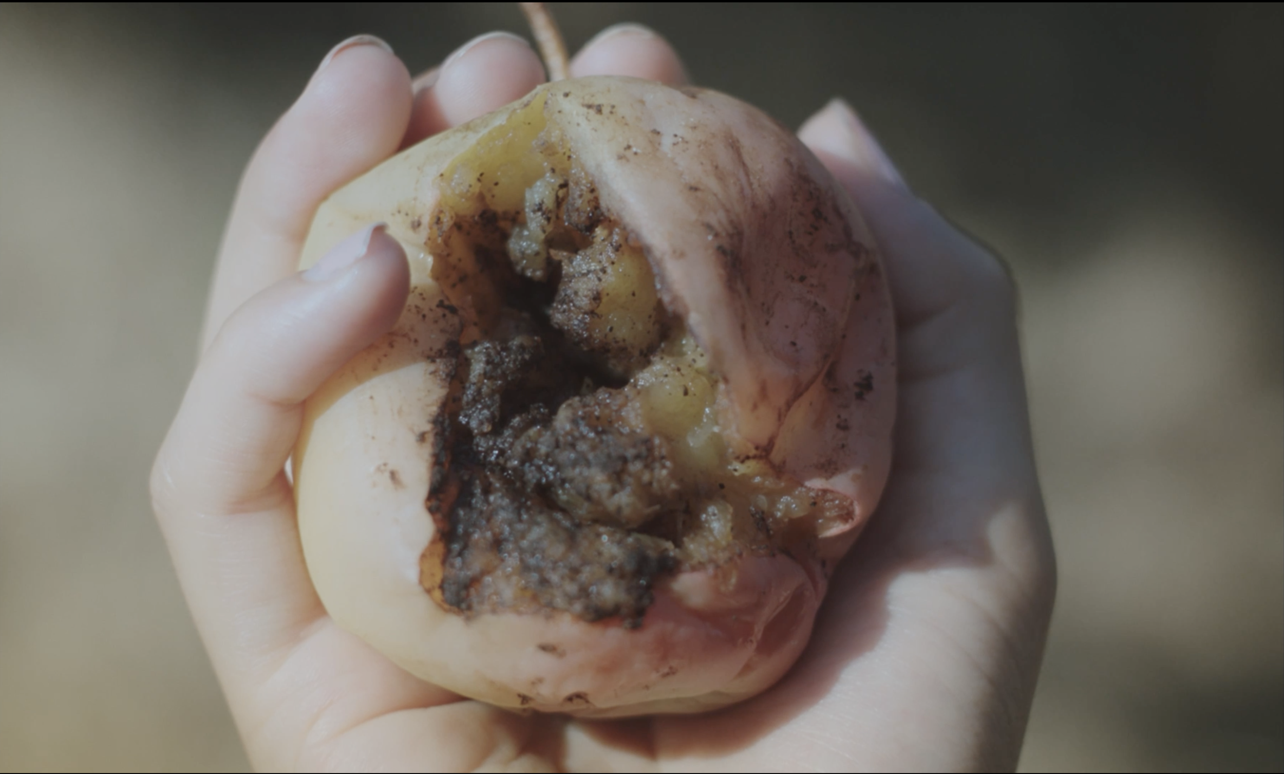 Screenshot 2025-10-11 at 1.28.02 PM.png