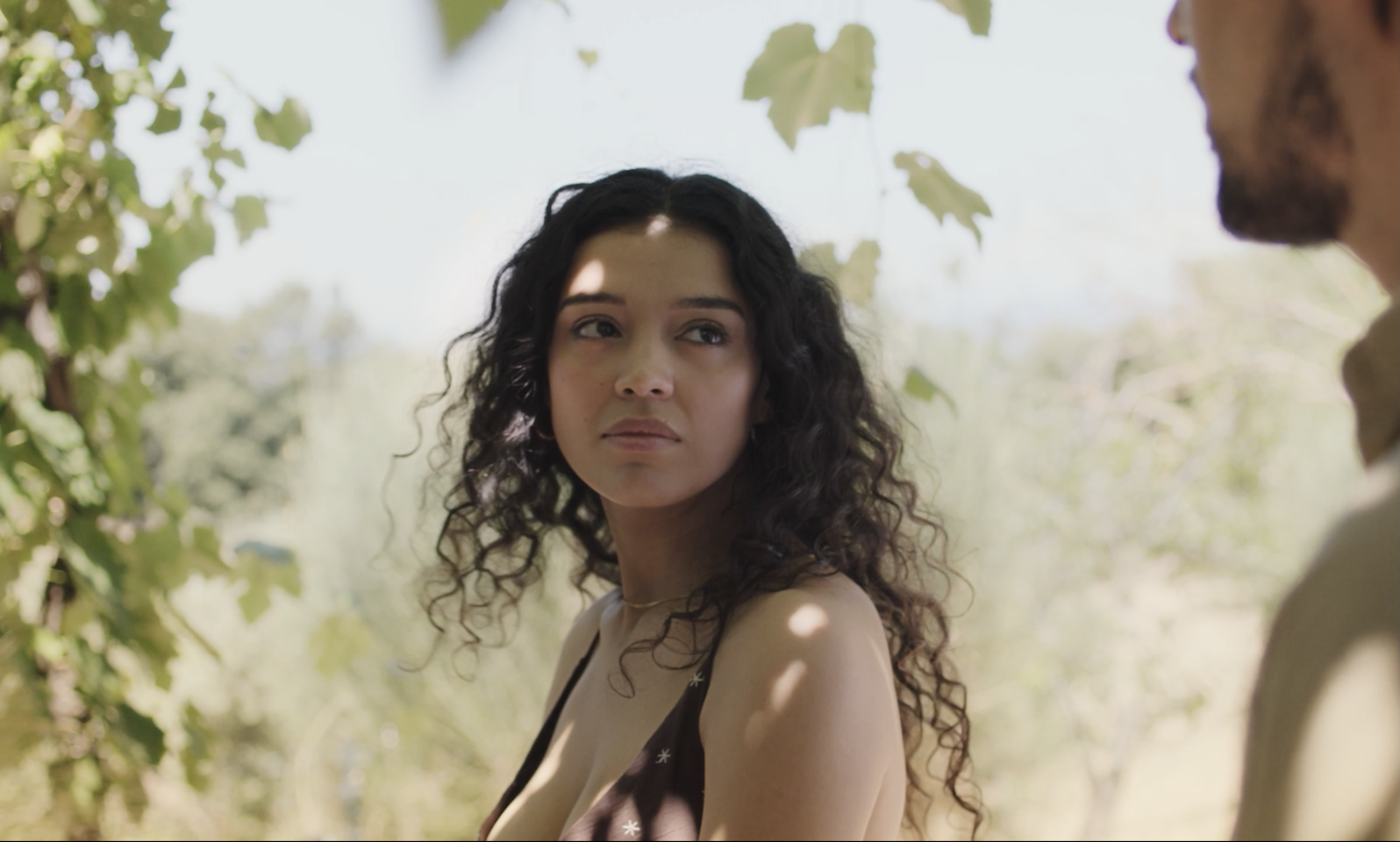 Screenshot 2025-10-11 at 1.24.33 PM.png