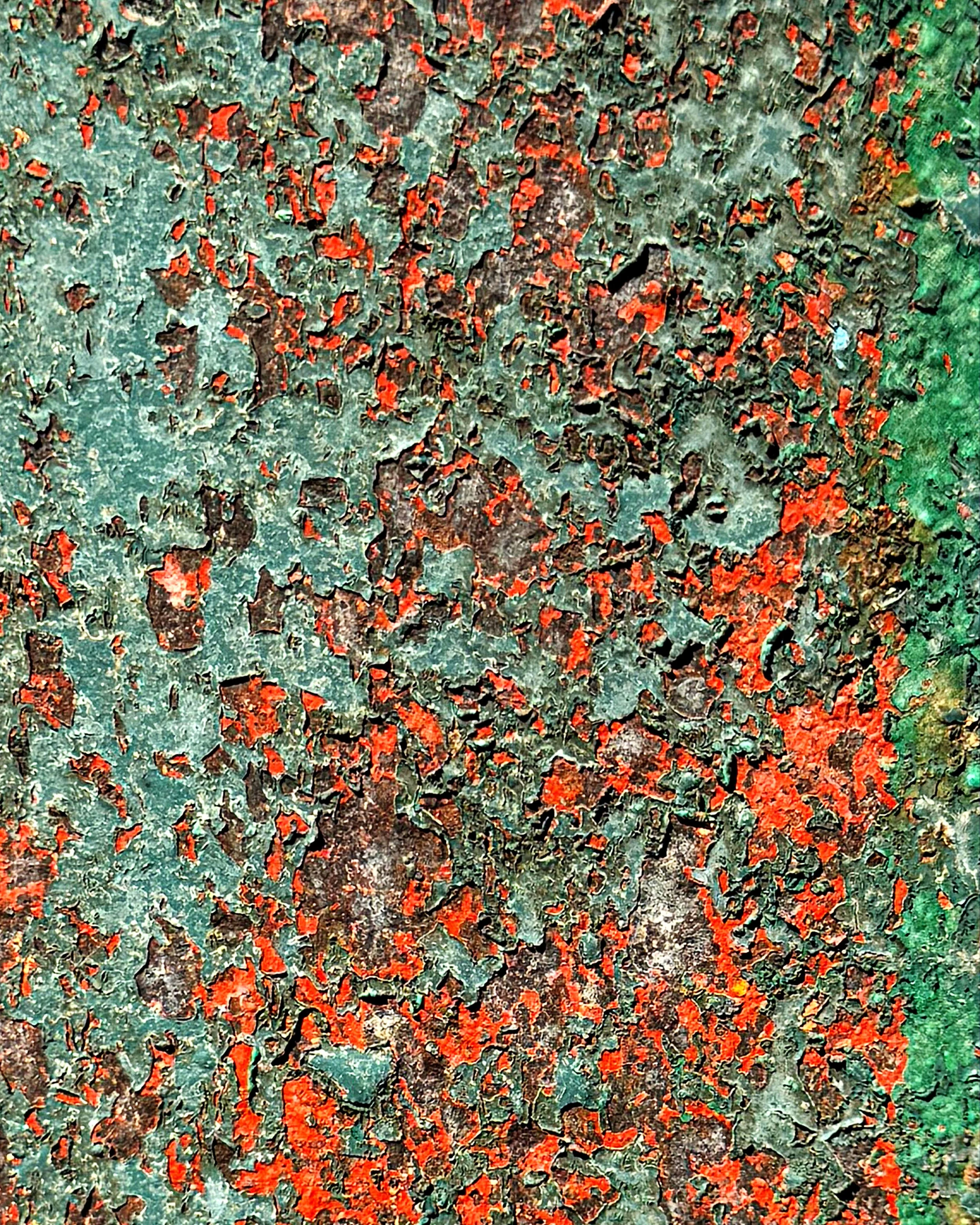 Weathered Supports_4x5.jpg