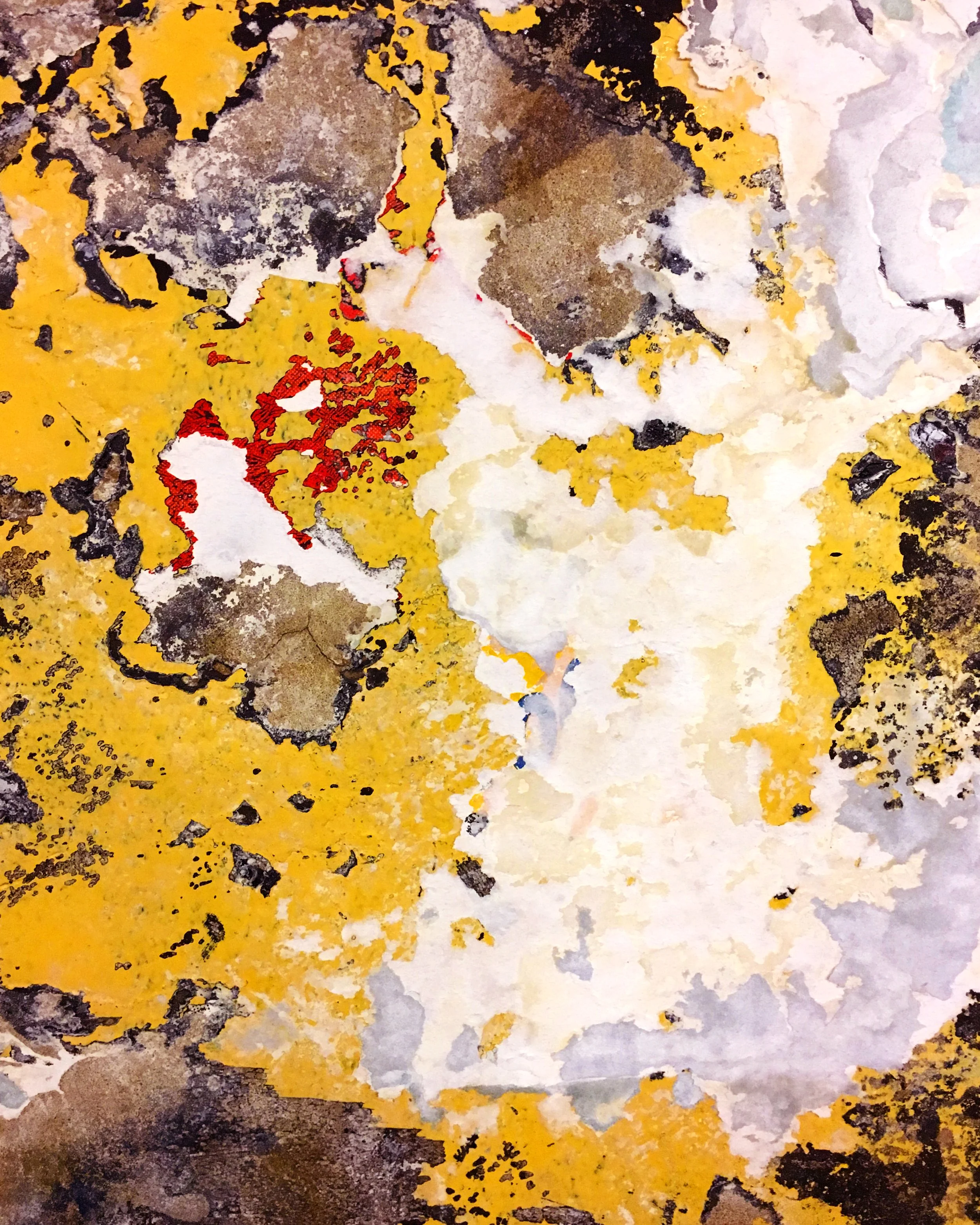 Broken Paint_4x5_2.jpg