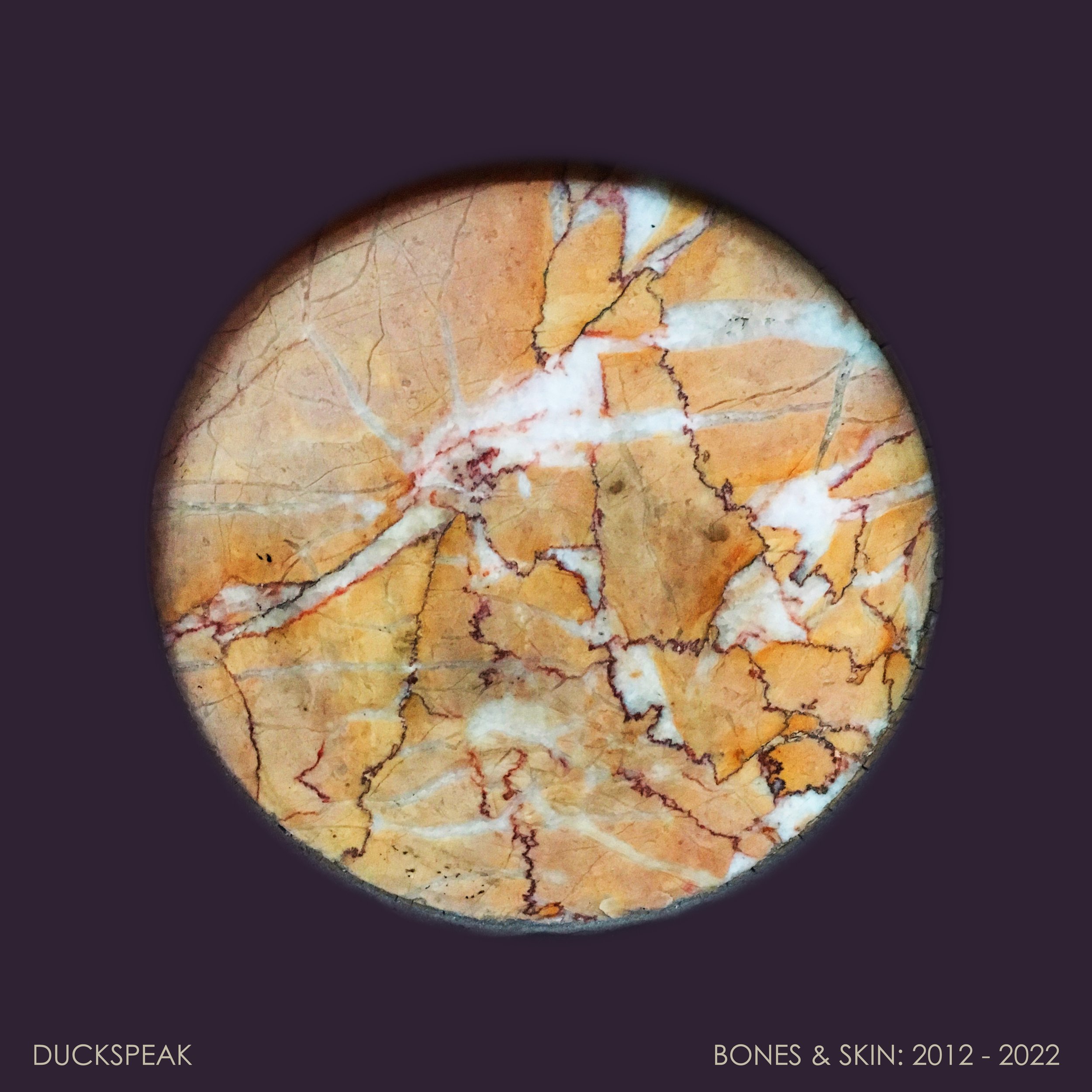 Bones and Skin: 2012 - 2022