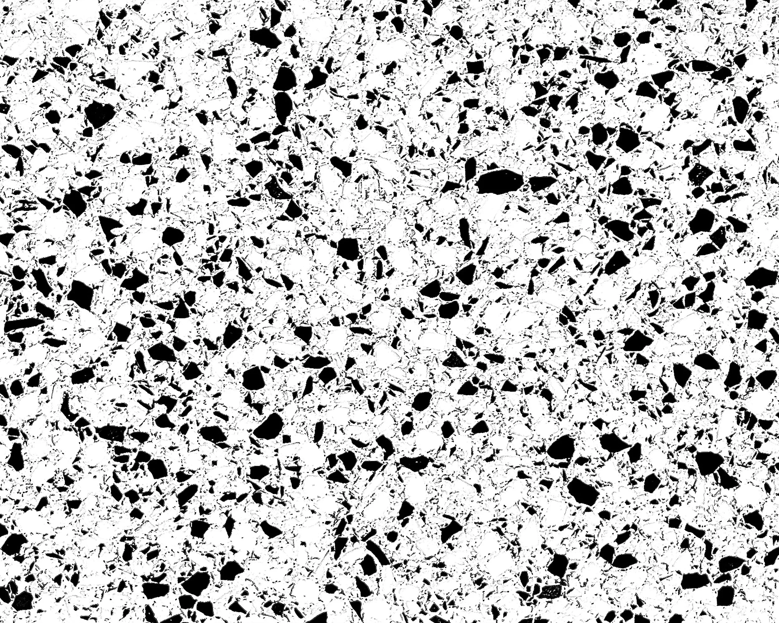 Monochrome Marble_4x5.jpg