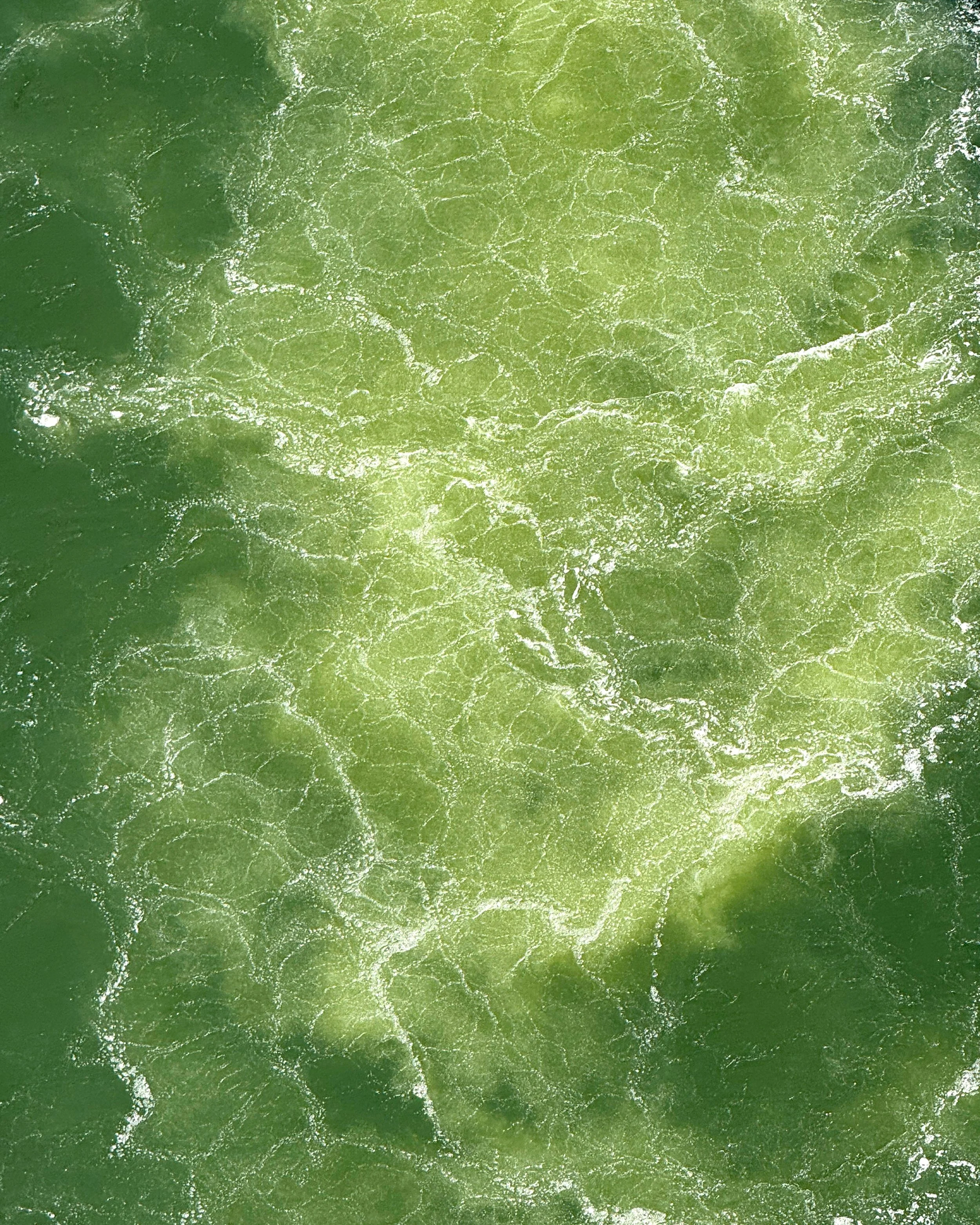 Victoria Riptide_4x5.jpg