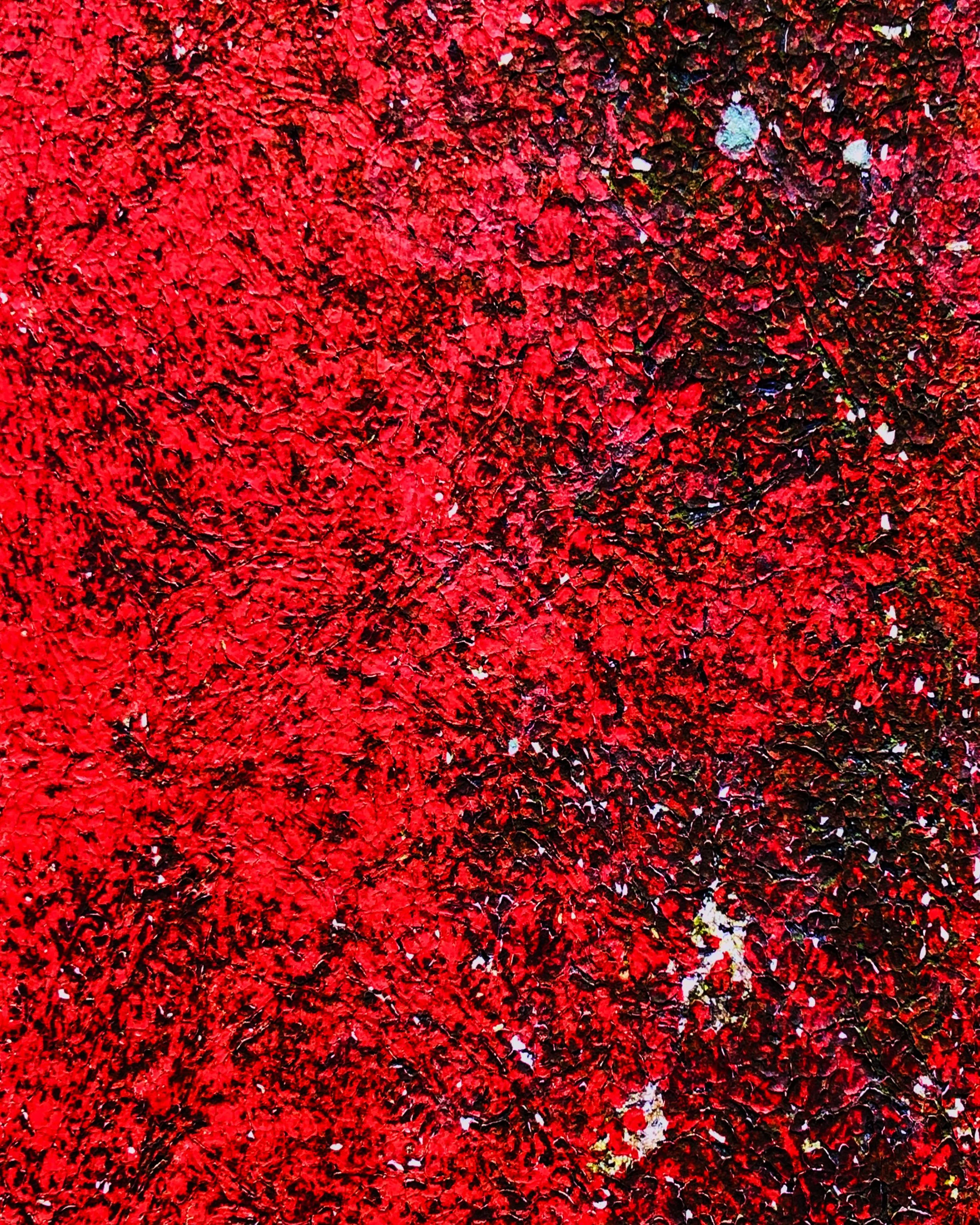 Red Worn Cover_4x5.jpg