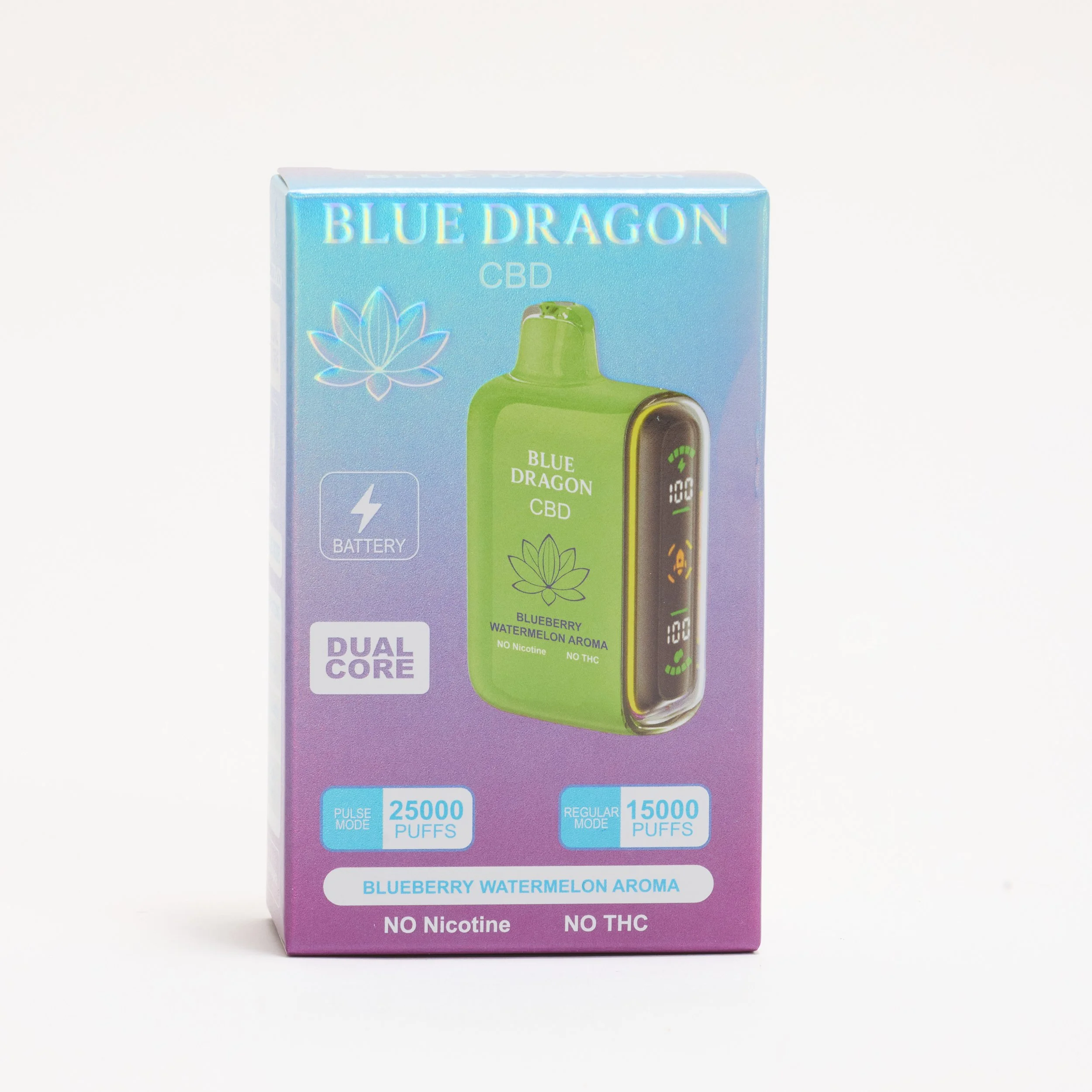 BlueDragon_0003.jpg