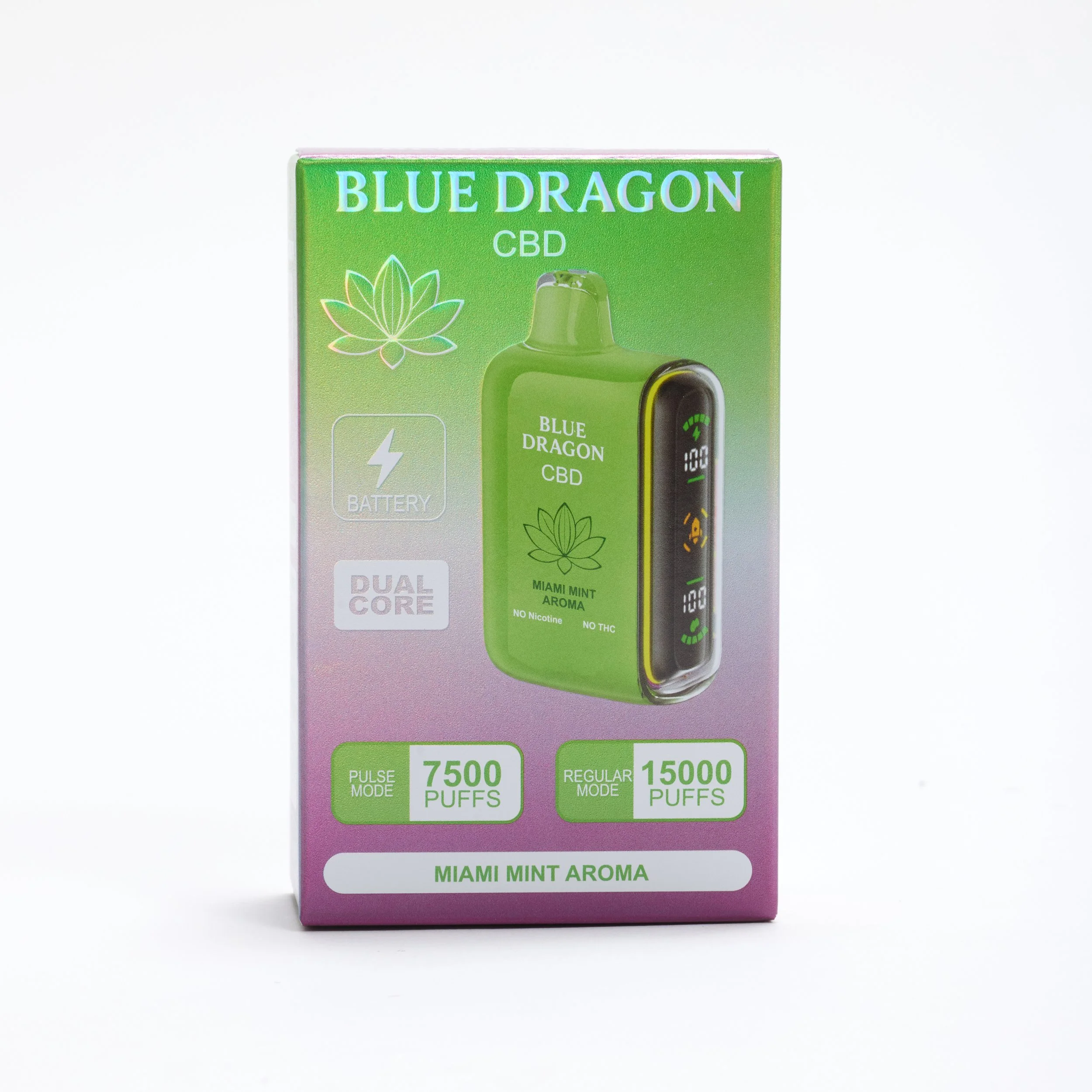 BlueDragon_0011.jpg