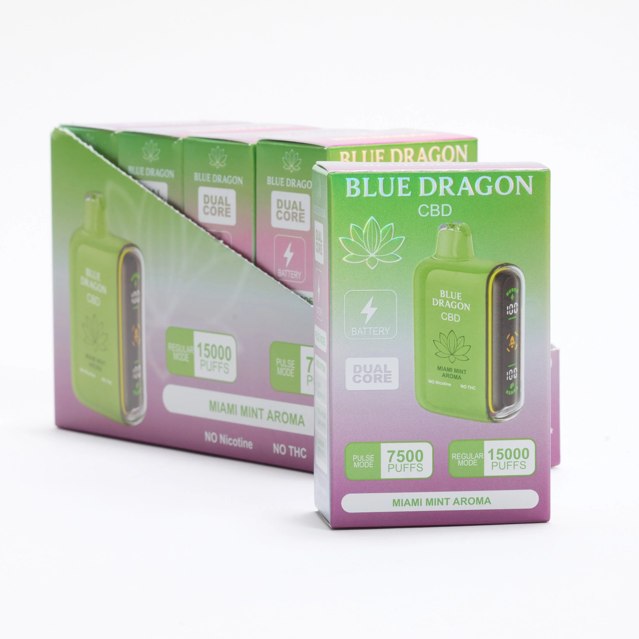BlueDragon_0010.jpg