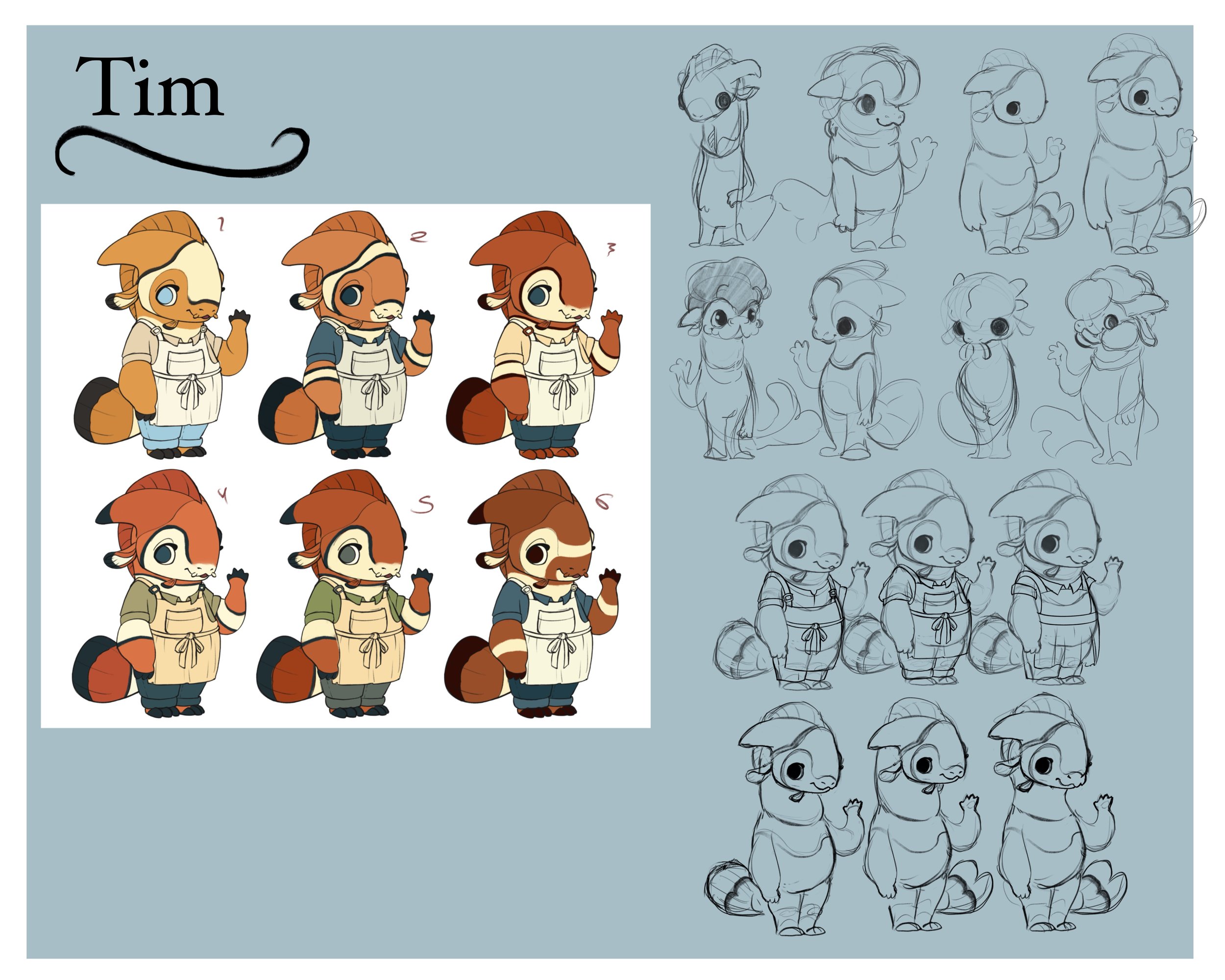 Tim - Design & Ideation