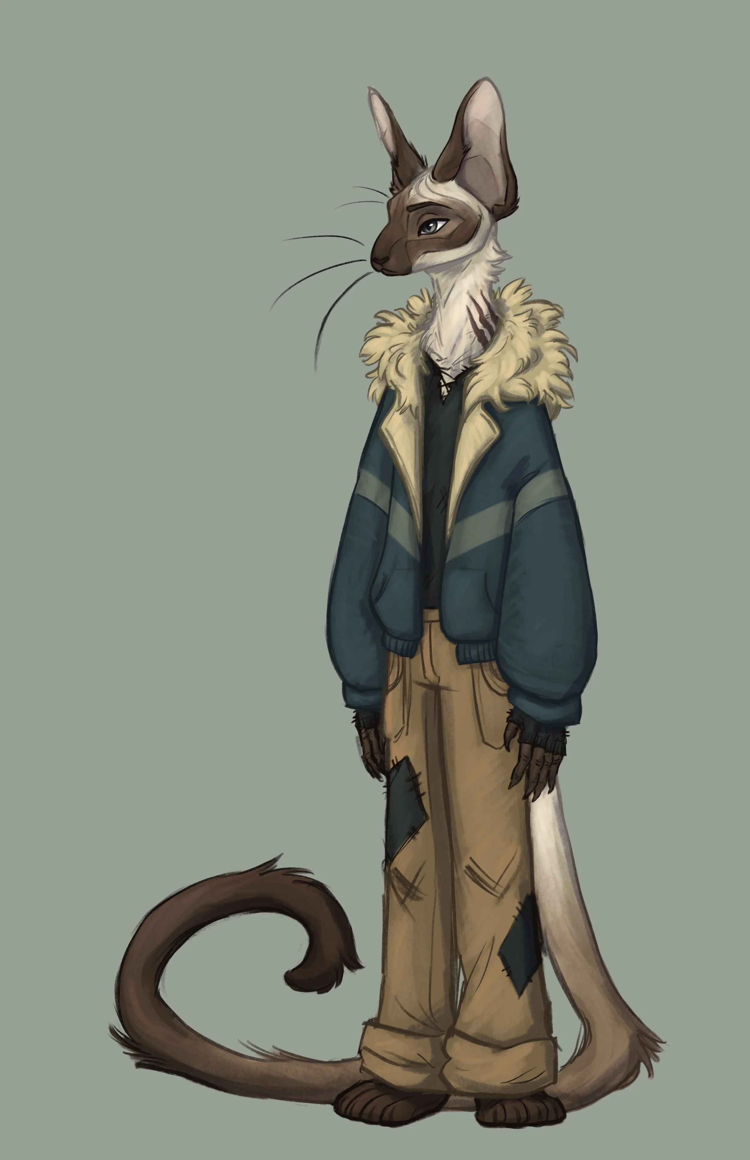 re-design of Rainer Cat