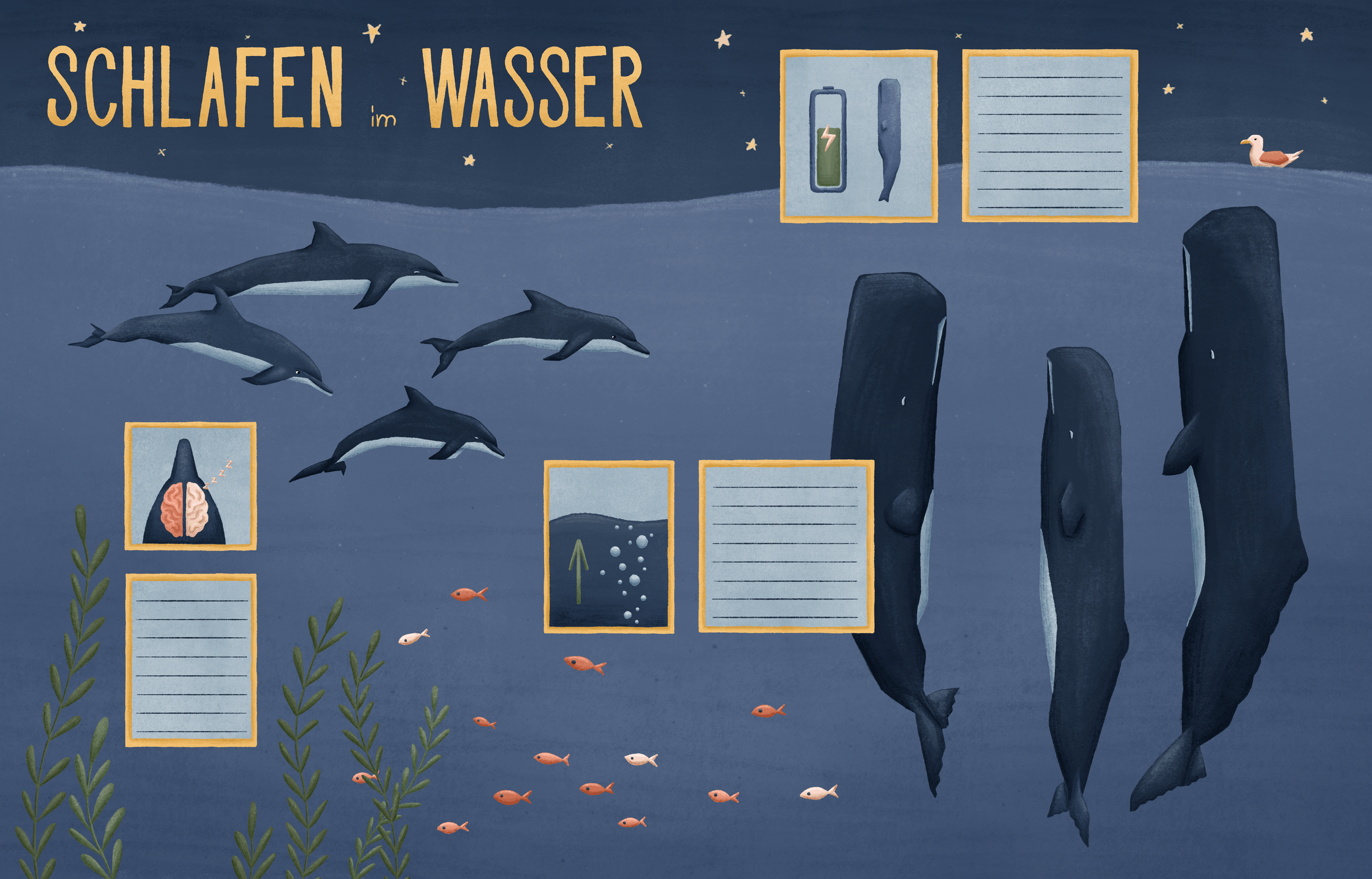 Schlafen_im_Wasser_klein.png