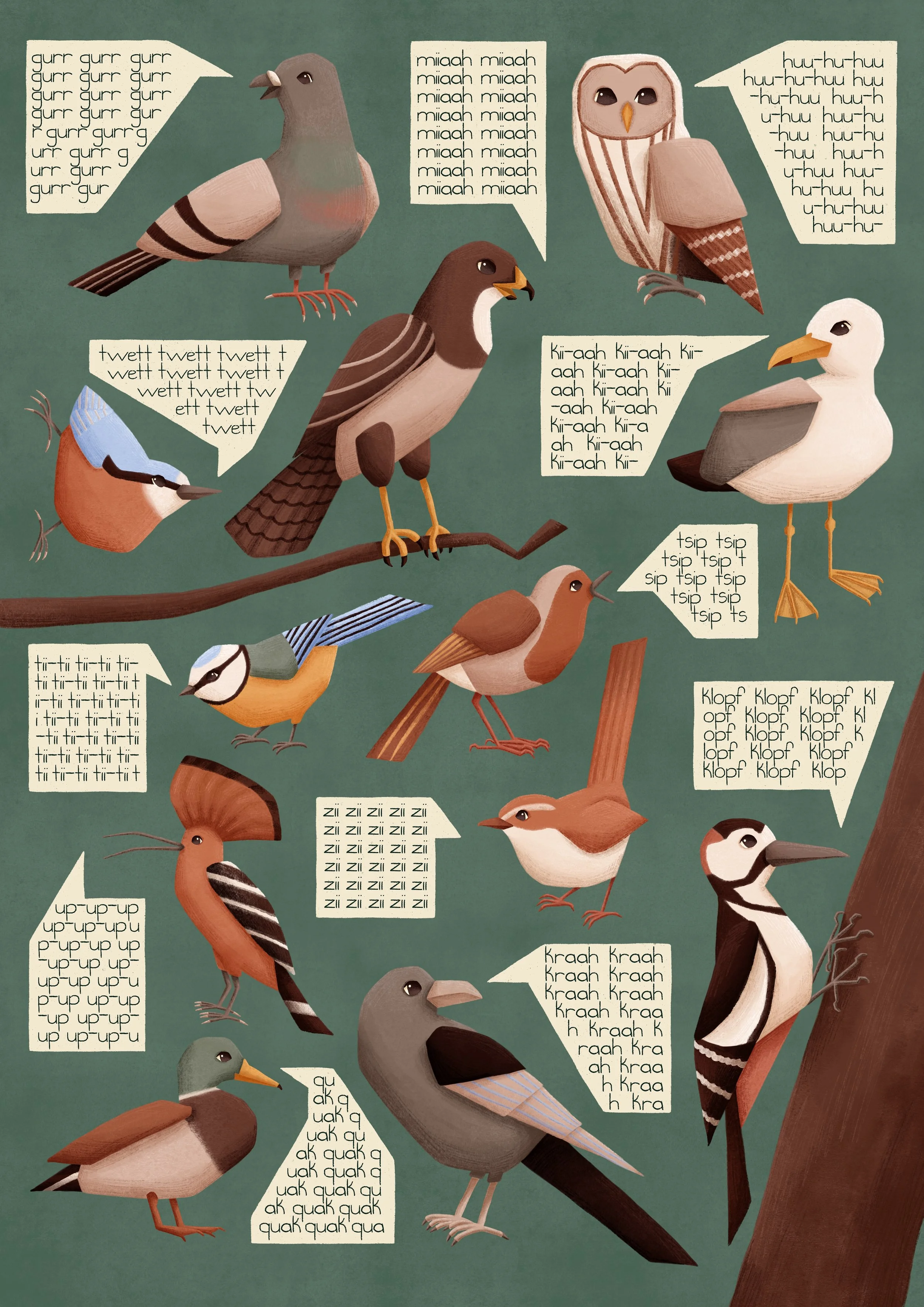 Birds and their Voices