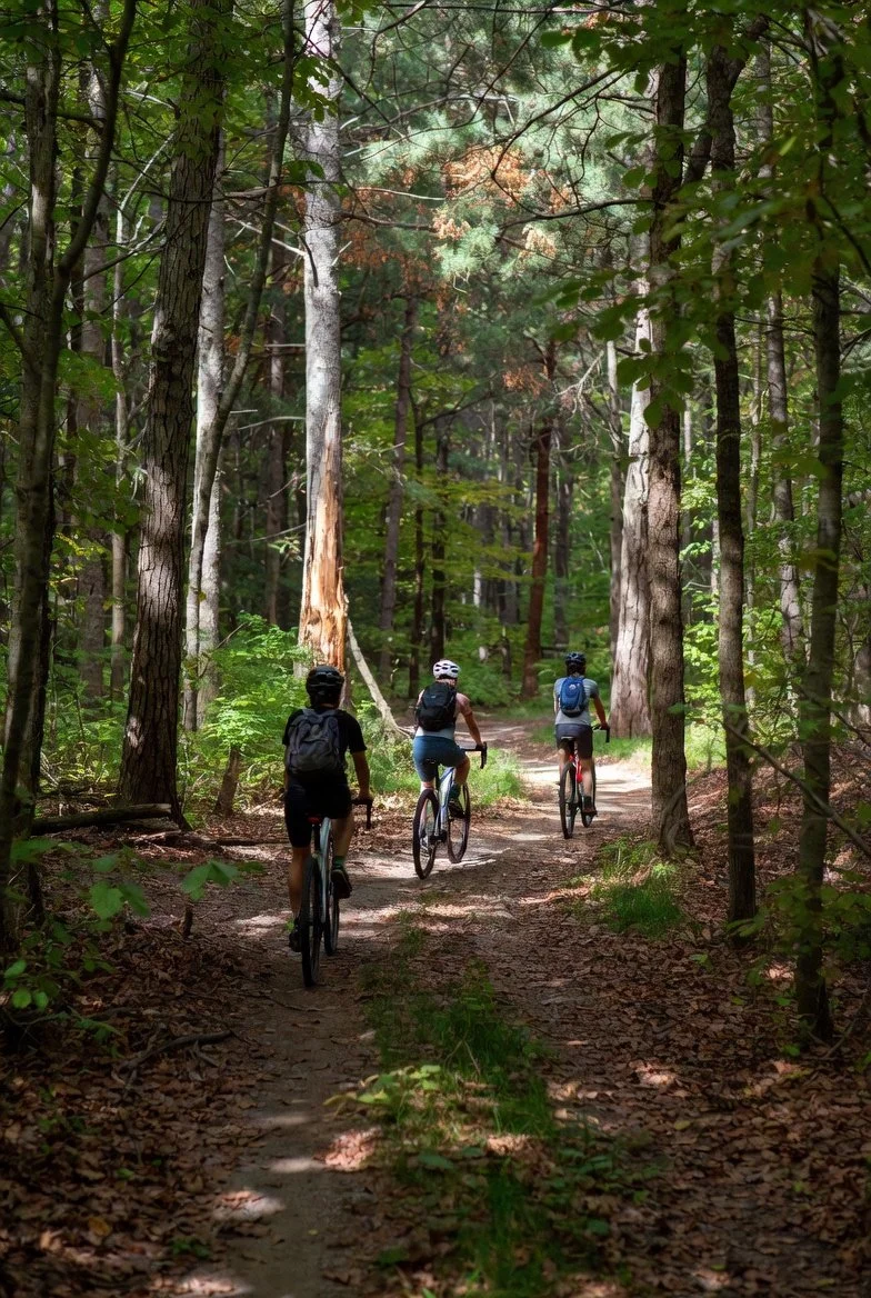 Michaux State Forest Discussion