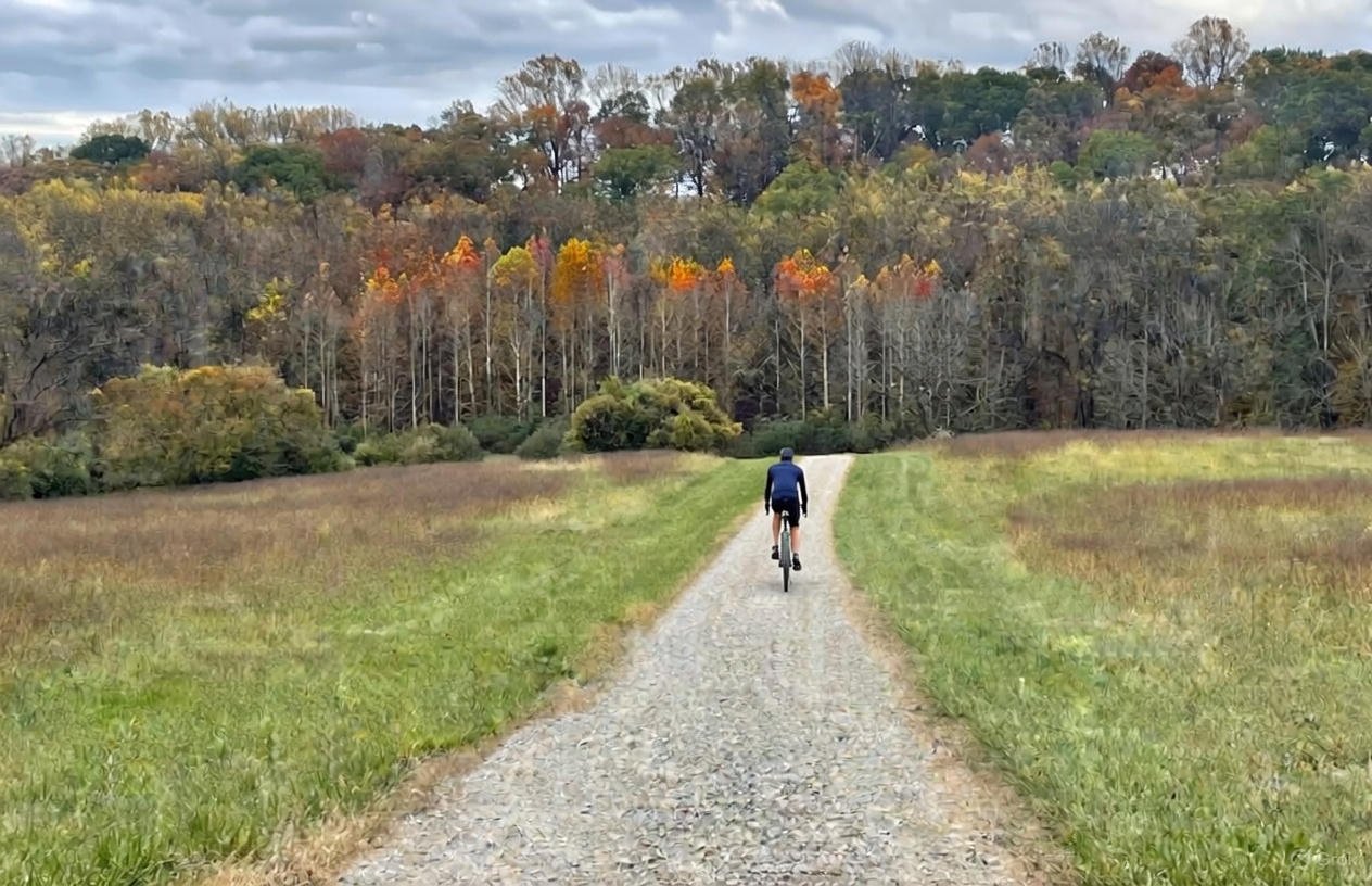 A person riding a bicycle on a gravel path through a grassy field towards a forest with trees showing fall colors.