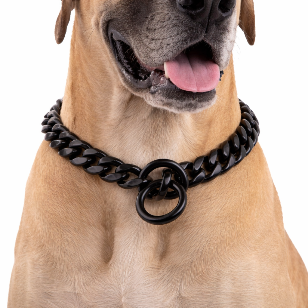Great Dane with Cuban link collar.png
