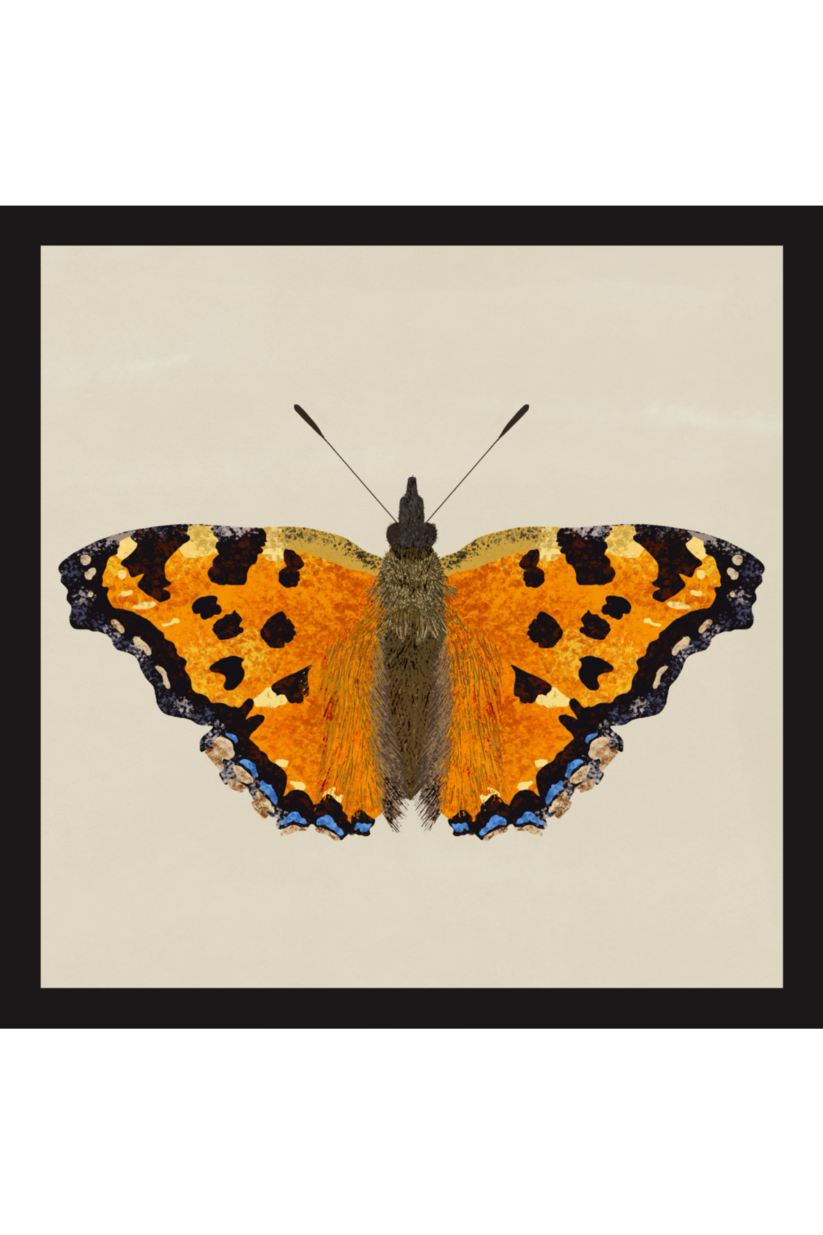 Large Tortoiseshell Butterfly Print