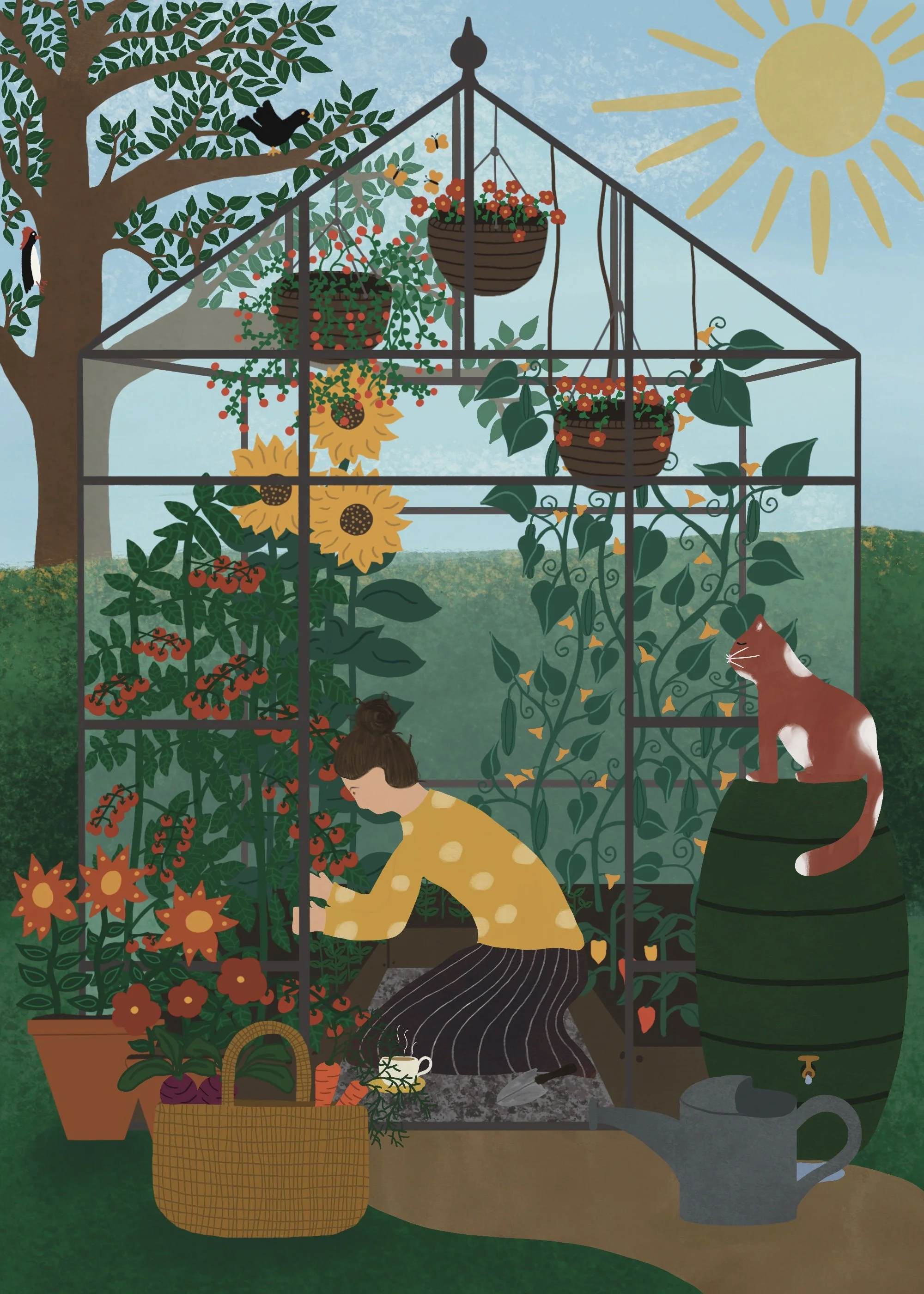 Growing tomatoes