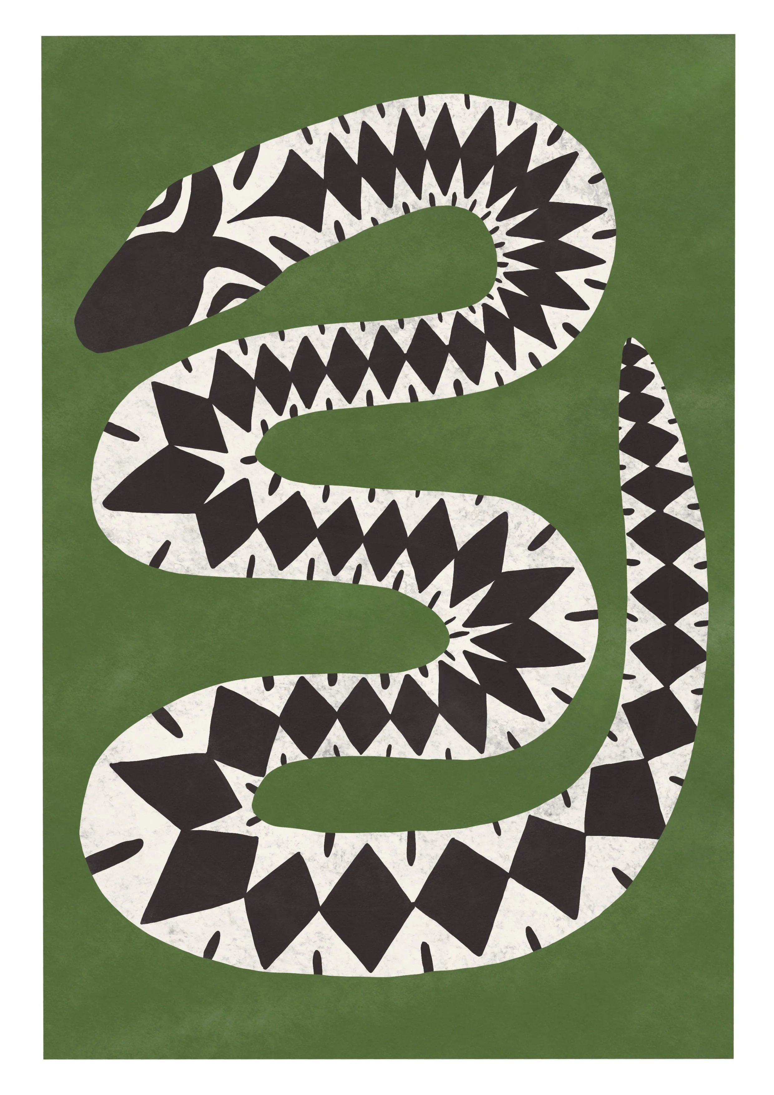 Adder A4.jpg