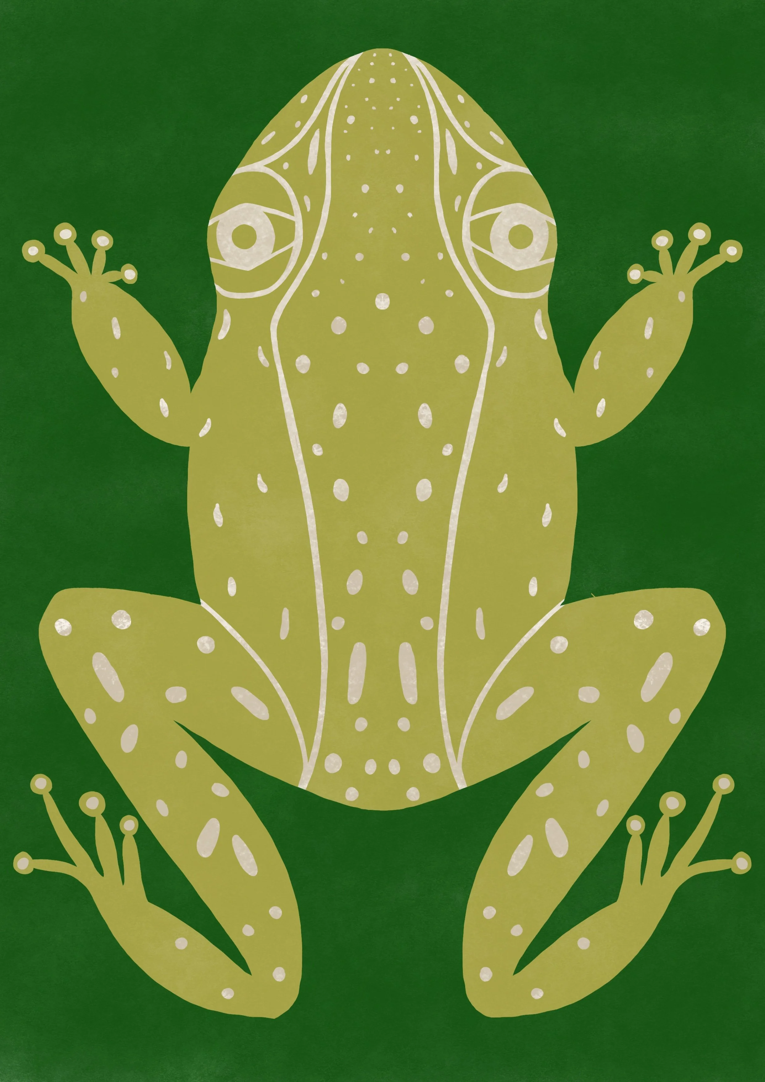 Green frog illustration in a simple folk art style 
