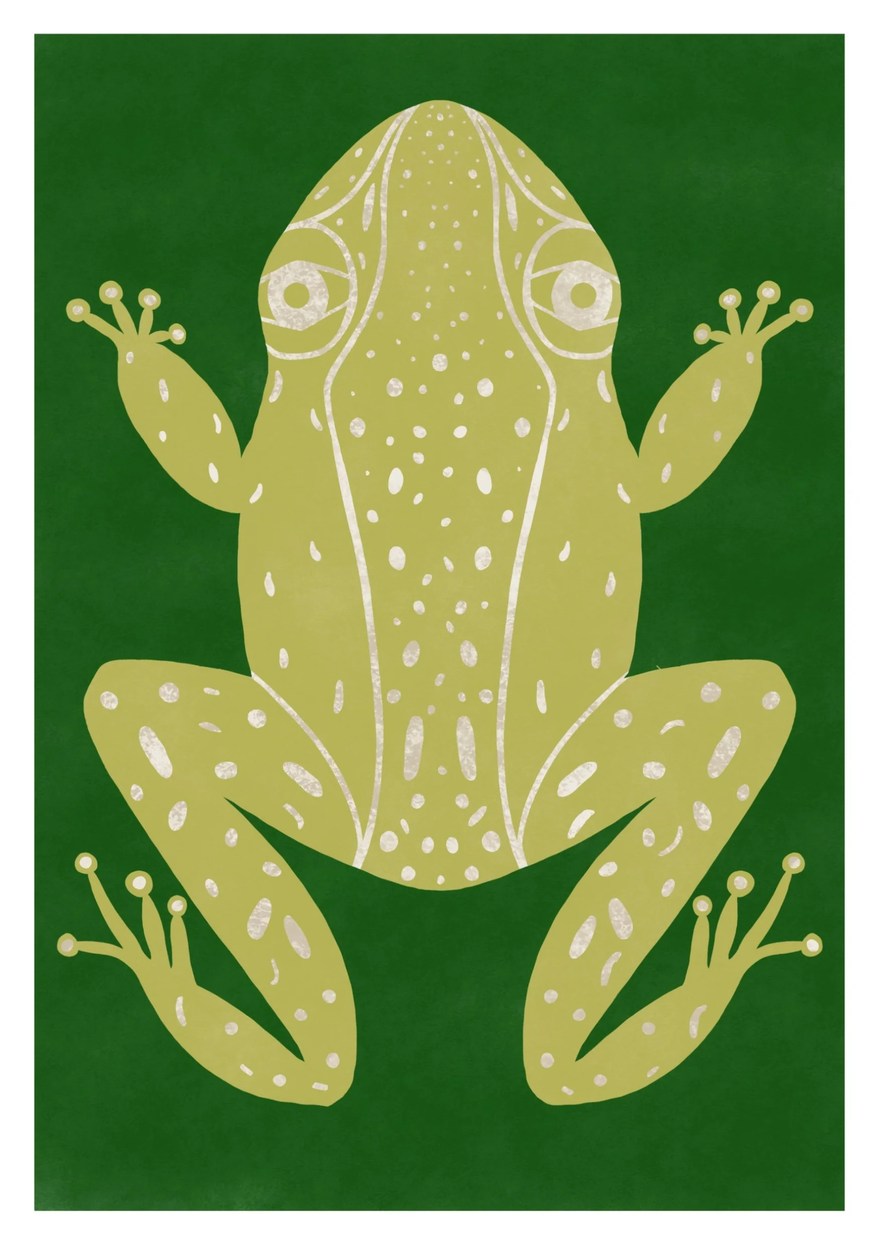 Illustration of a yellow-green frog with white spots and outlines, sitting against a dark green background.