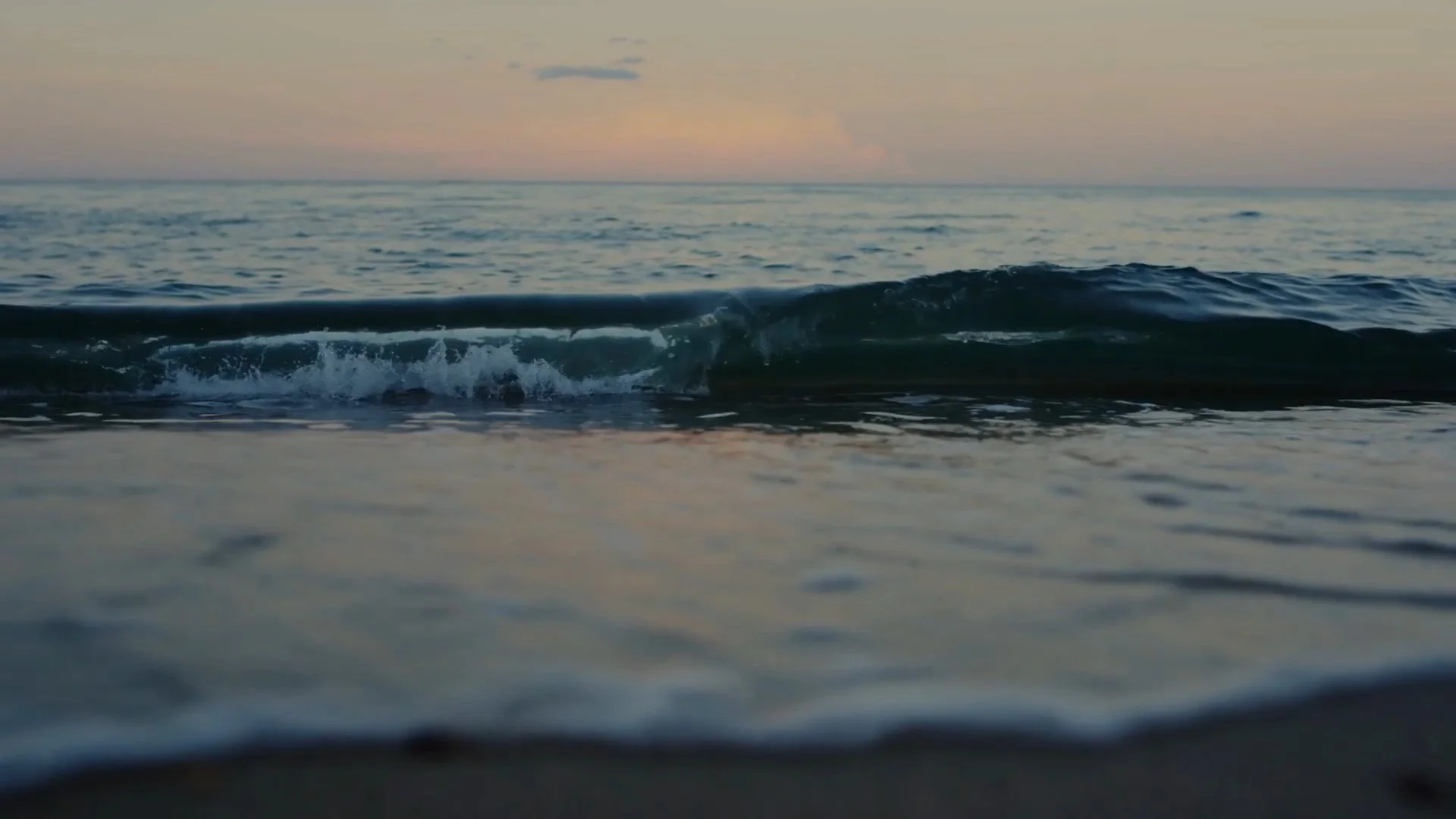Screenshot from the book trailer Tesla's Cottage