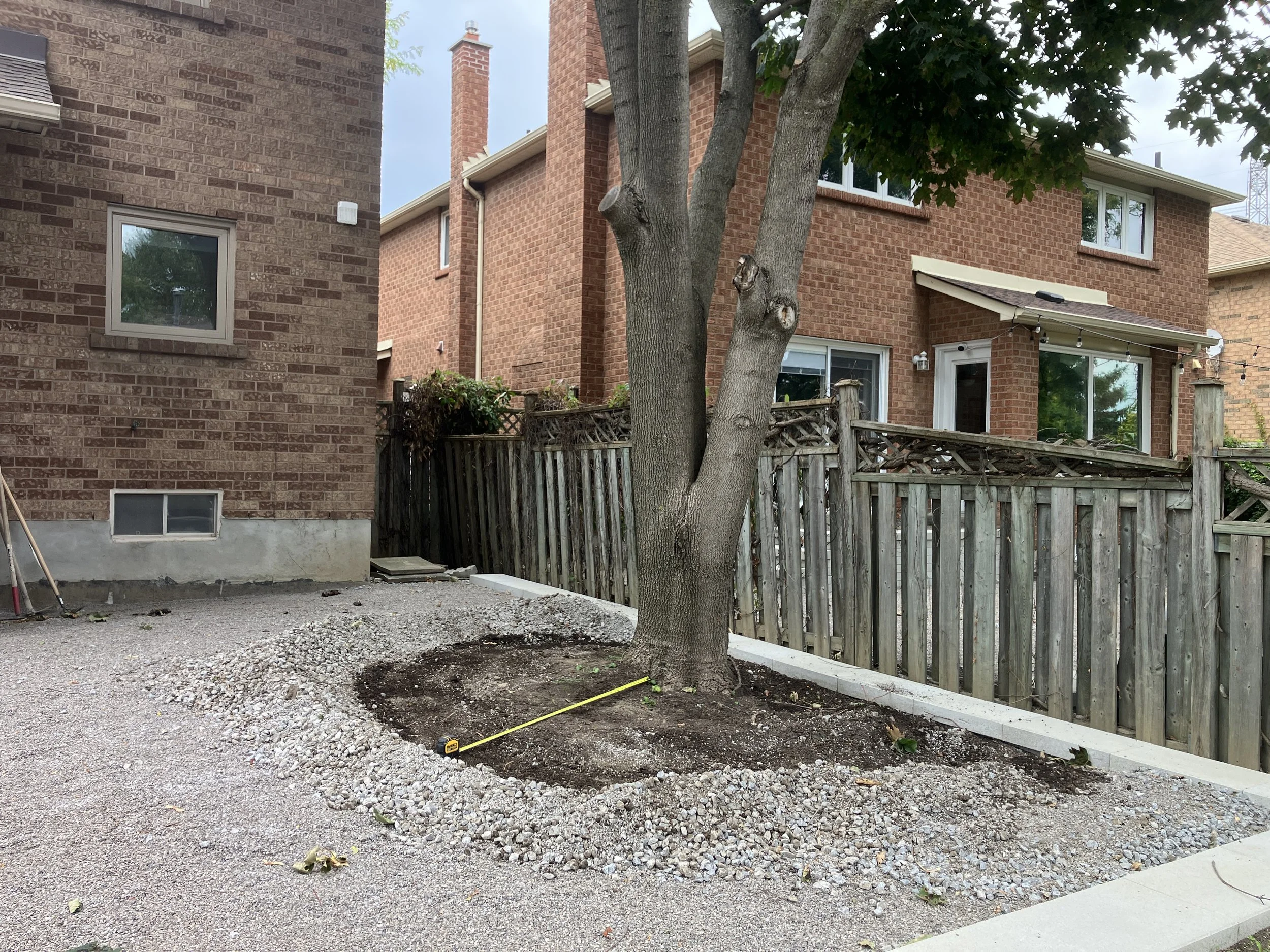 Tree Damage Remediation